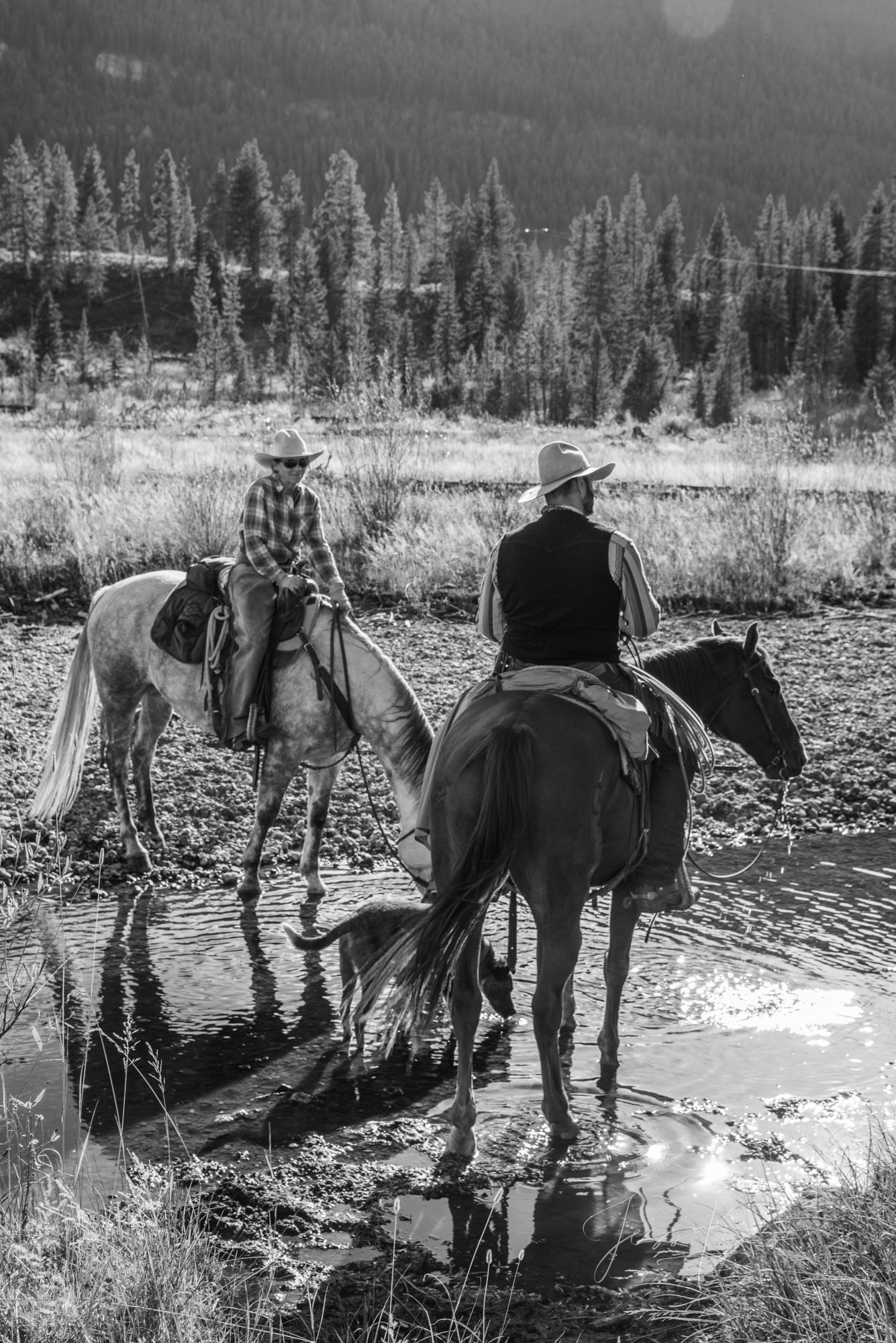 Searching Fine Art Limited Edition Photo Prints of Cowboys, Horses, and life in the West. Cowboy pictures in black and white. Searching...