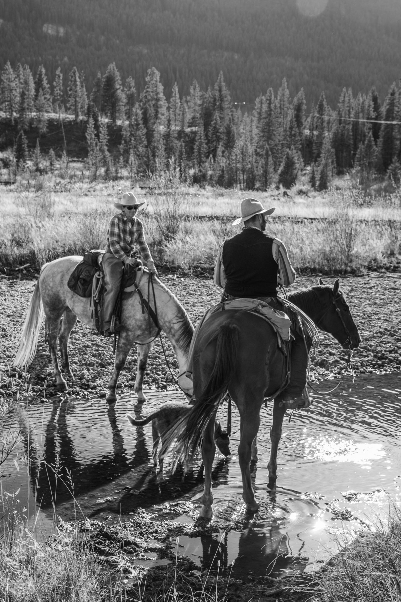 Fine Art Limited Edition Photo Prints of Cowboys, Horses, and life in the West.  Cowboy pictures in black and white. Searching...