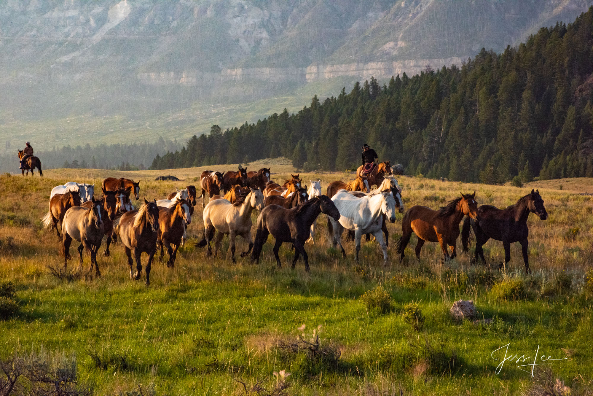 Fine Art Limited Edition Photography of Cowboys, Horses and life in the West. Wyoming horse herd running over the hill on their...