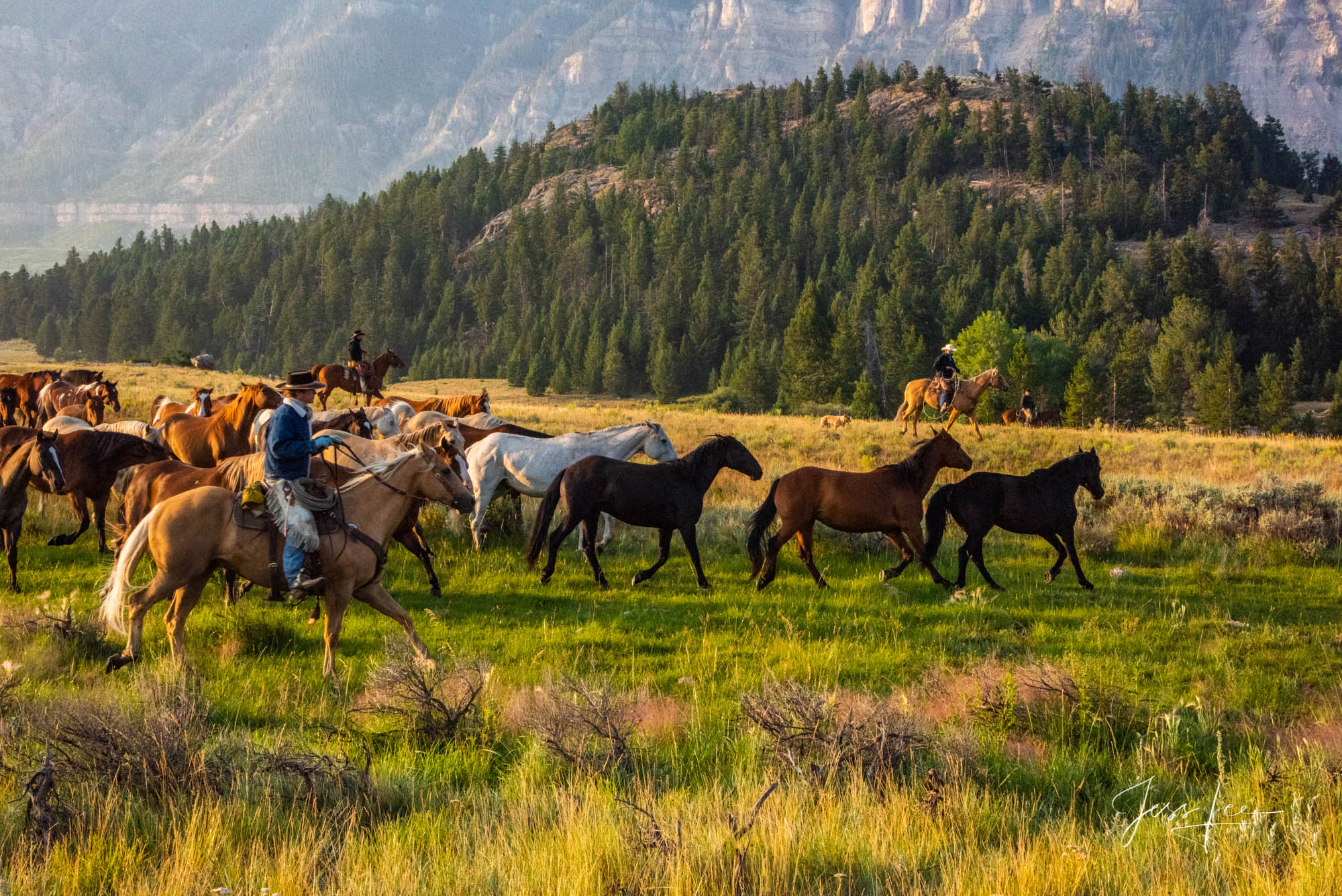 Move them now! Fine Art Limited Edition Photography of Cowboys, Horses and life in the West. Wyoming horse herd running over the hill on their...