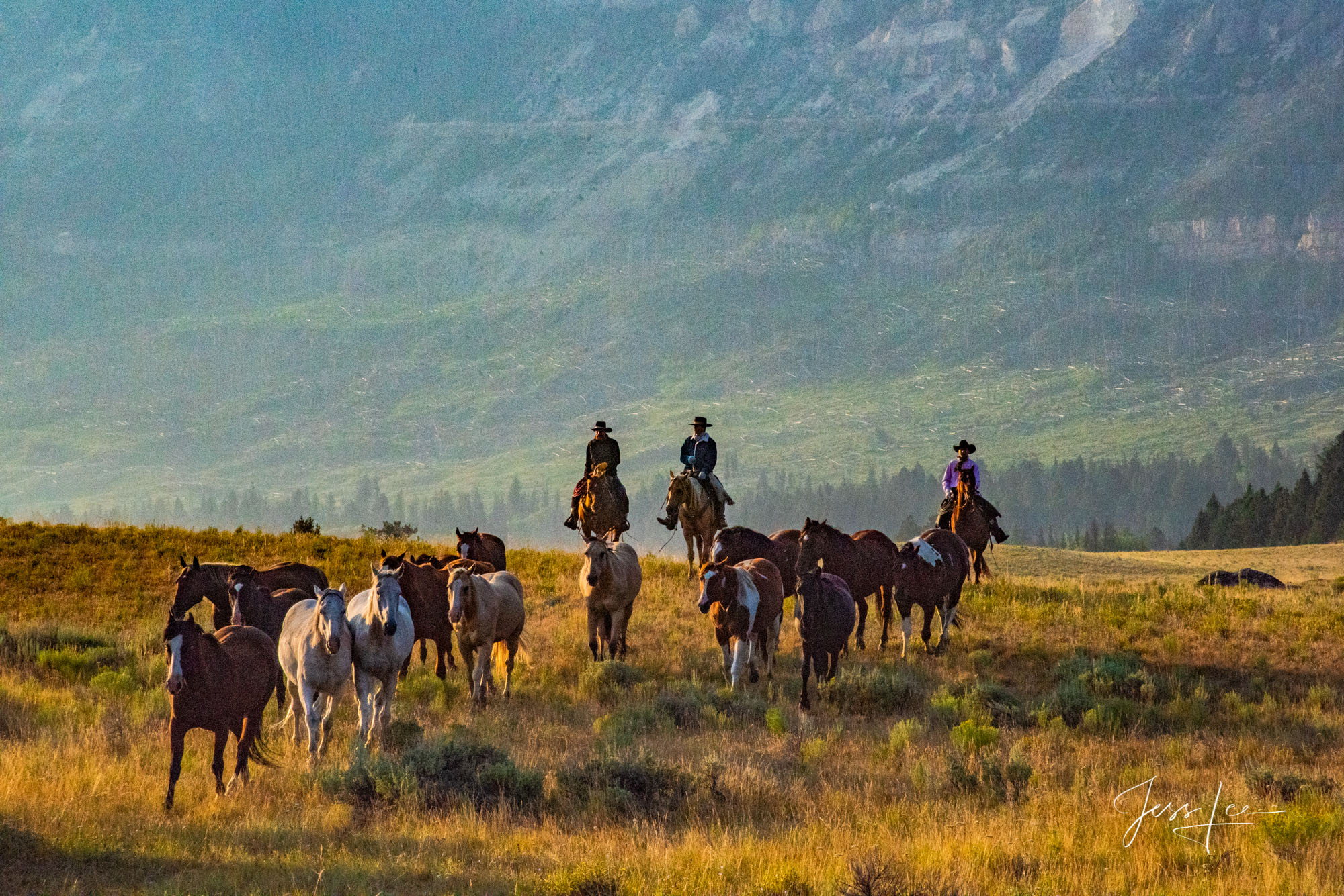 Fine Art Limited Edition Photography of Cowboys, Horses and life in the West. Wyoming horse herd running over the hill on their...