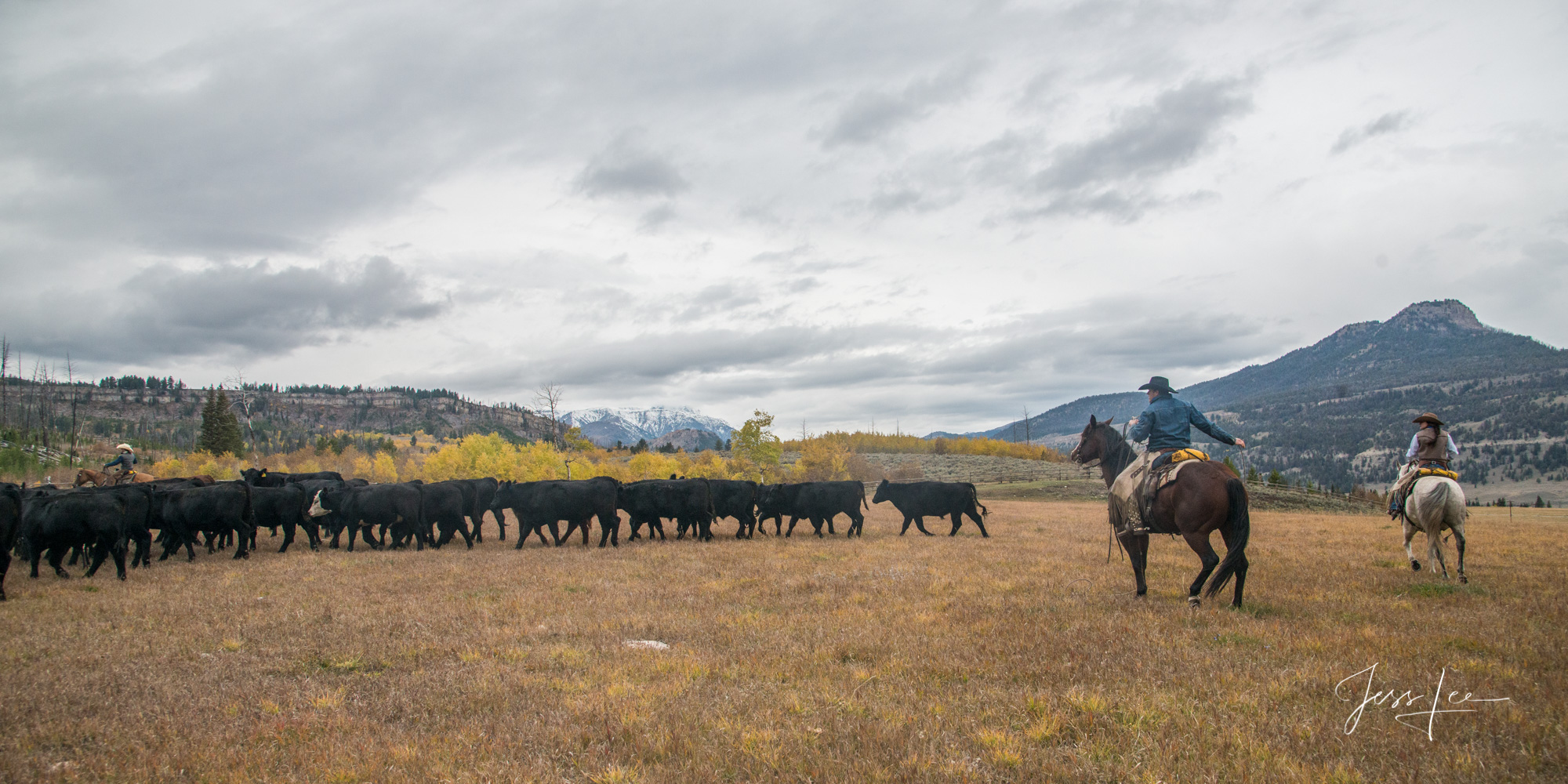 Fine Art Limited Edition Photography of Cowboys, Horses and life in the West. Wyoming horse herd running over the hill on their...