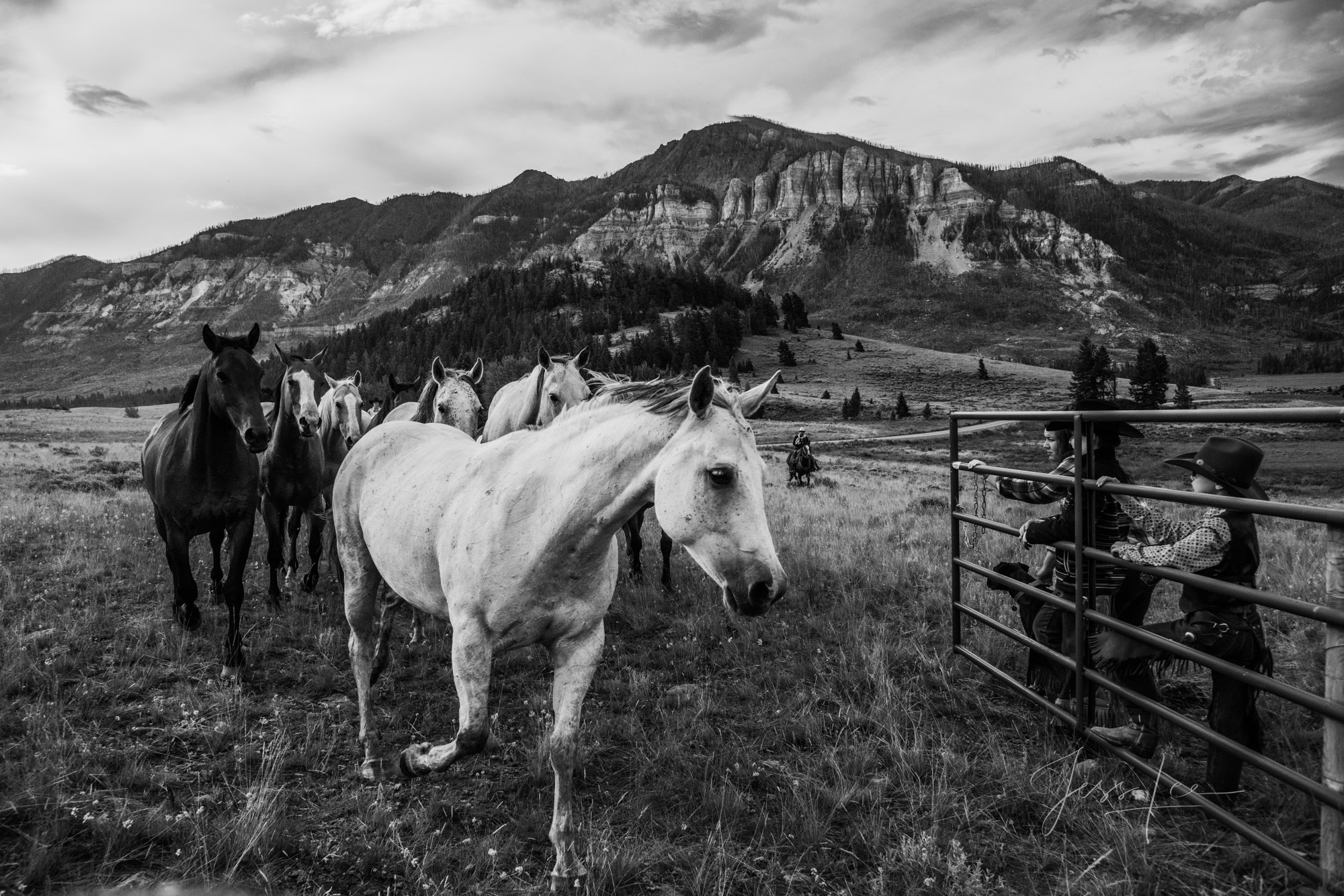 Follow the Leader Fine Art Limited Edition Photo Prints of Cowboys, Horses, and life in the West. Cowboy pictures in black and white. Follow the...