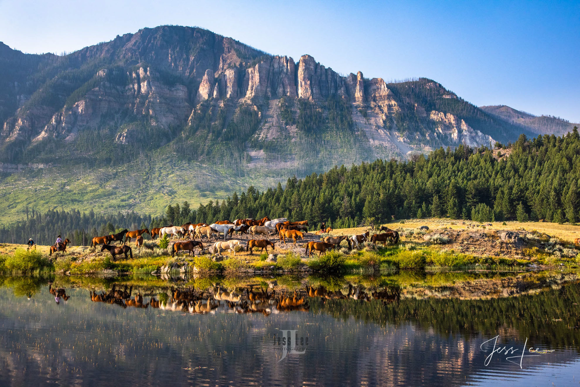 Reflecting on Cowboys Fine Art Limited Edition Photography of Cowboys, Horses and life in the West. Wyoming horse herd running over the hill on their...