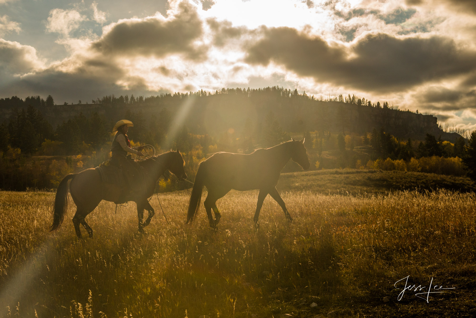 Fine Art, Limited Edition, Cowboy, and Western exclusive high-resolution Museum Quality Photography Prints of Western life and...