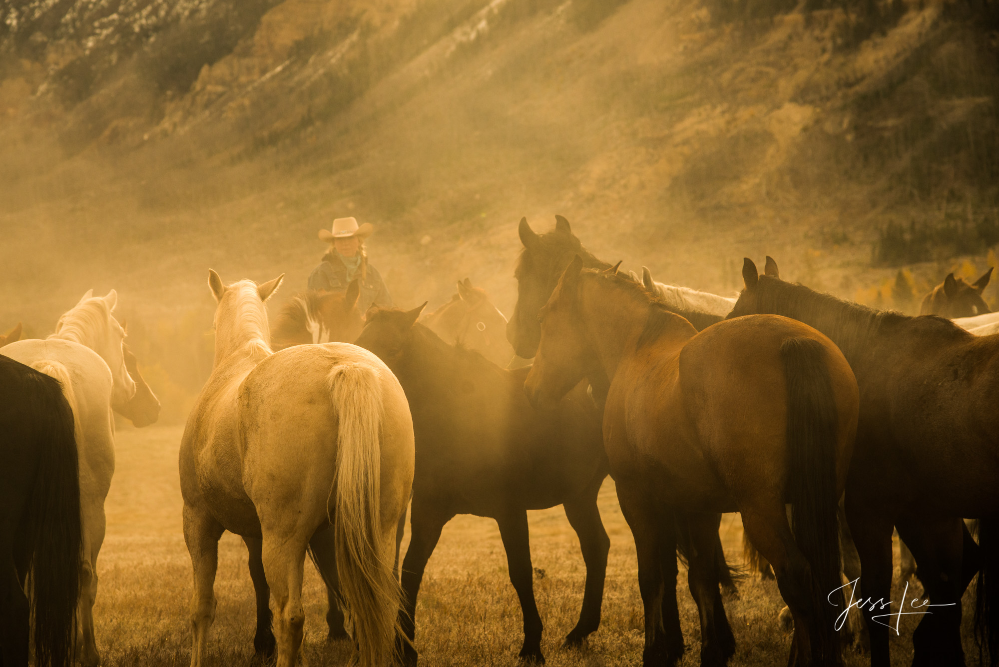 Listen up! Fine Art Limited Edition Photography of Cowboys, Horses and life in the West. Wyoming horse herd running over the hill on their...