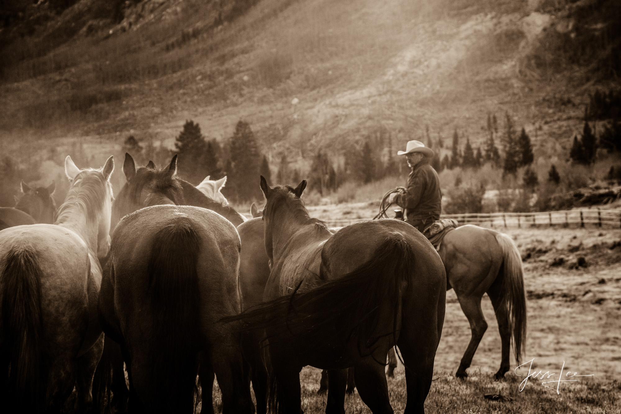 Fine Art Limited Edition Photography of Cowboys, Horses and life in the West. Wyoming horse herd running over the hill on their...