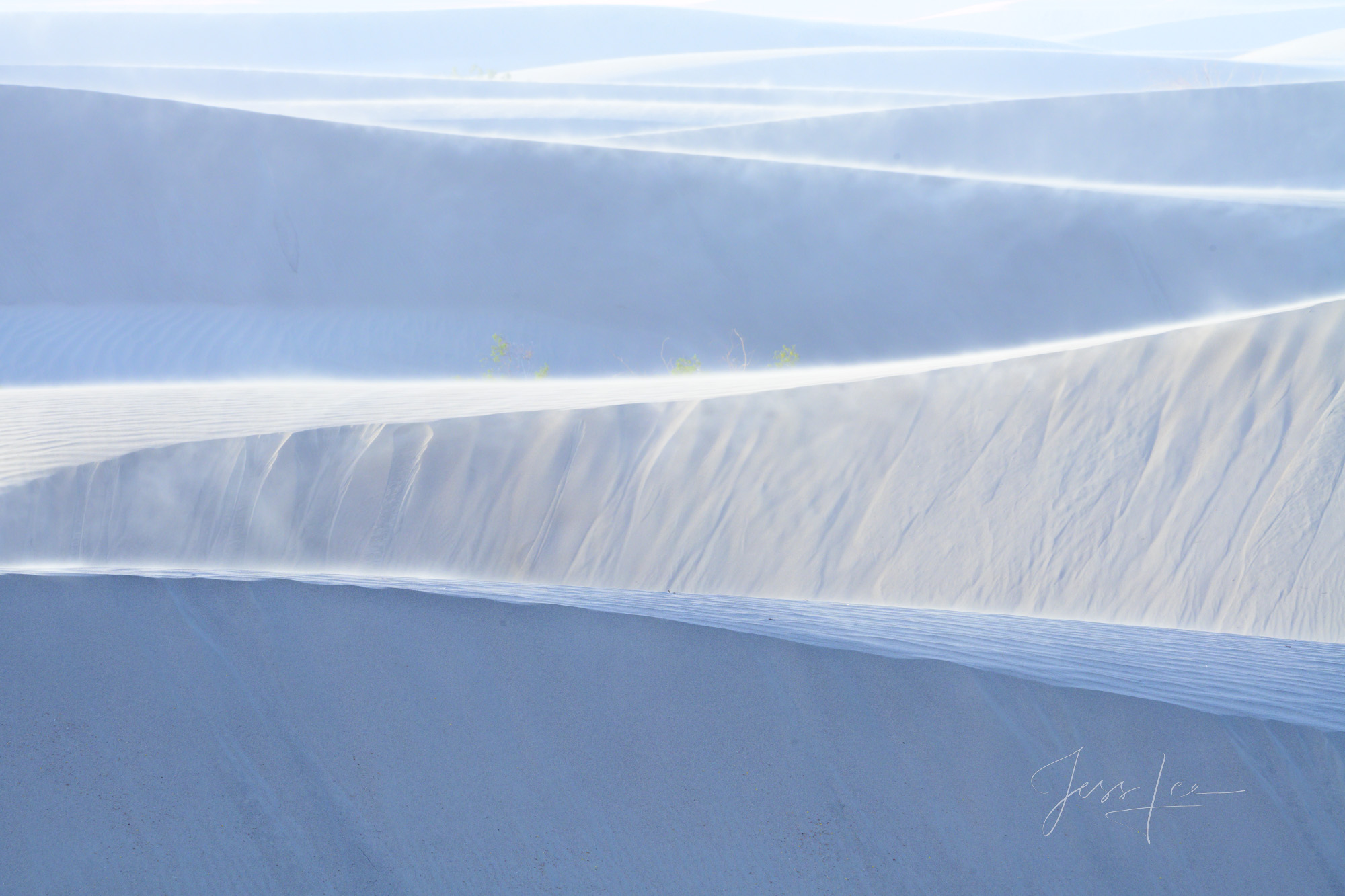 Death Valley Photography Print white dune