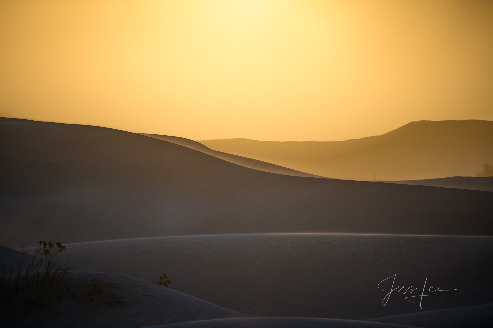 Just Making it ! a Fine Art Limited Edition Photo Print from Death Valley National Park. Enjoy this beautiful piece of desert...