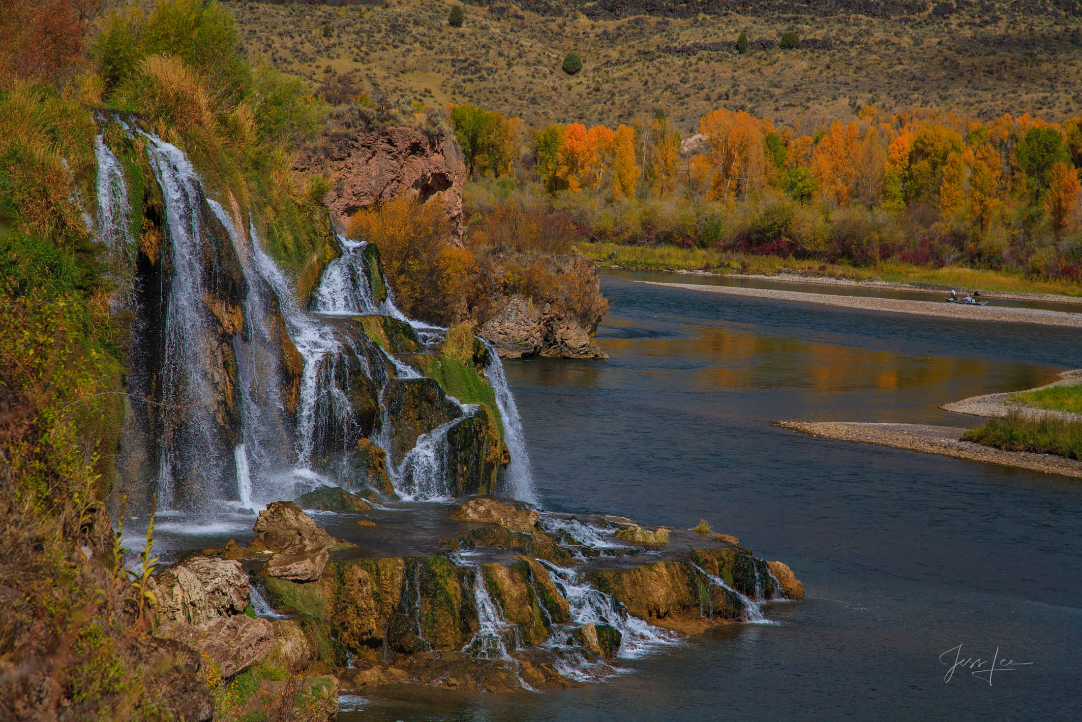 Wild Weep | Idaho | Large Format Prints by Jess Lee, image size:2200x1467