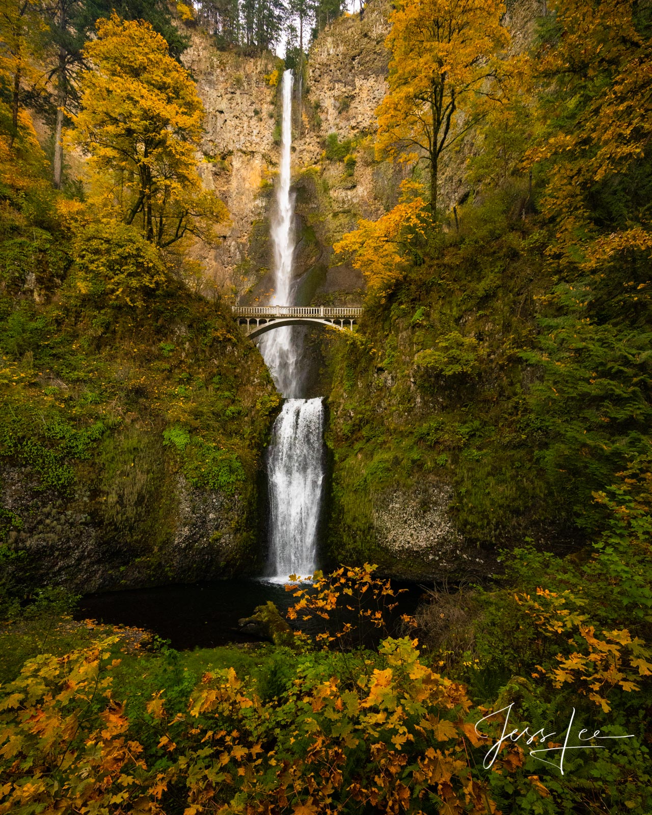 Multnomah Falls Fall Fall waterfall