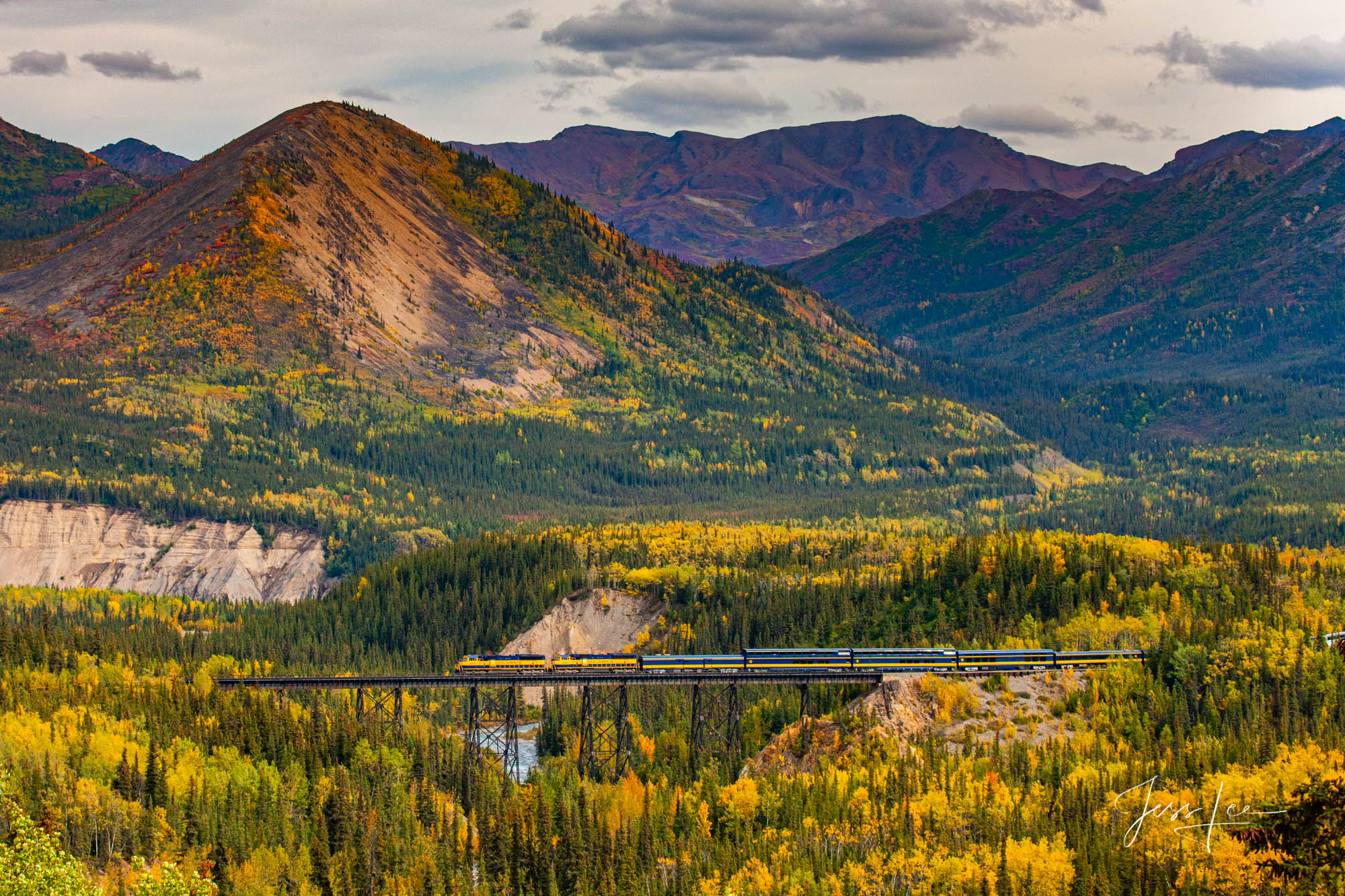 Train cars cross over the river flowing through a beautiful forest in Alaska. 