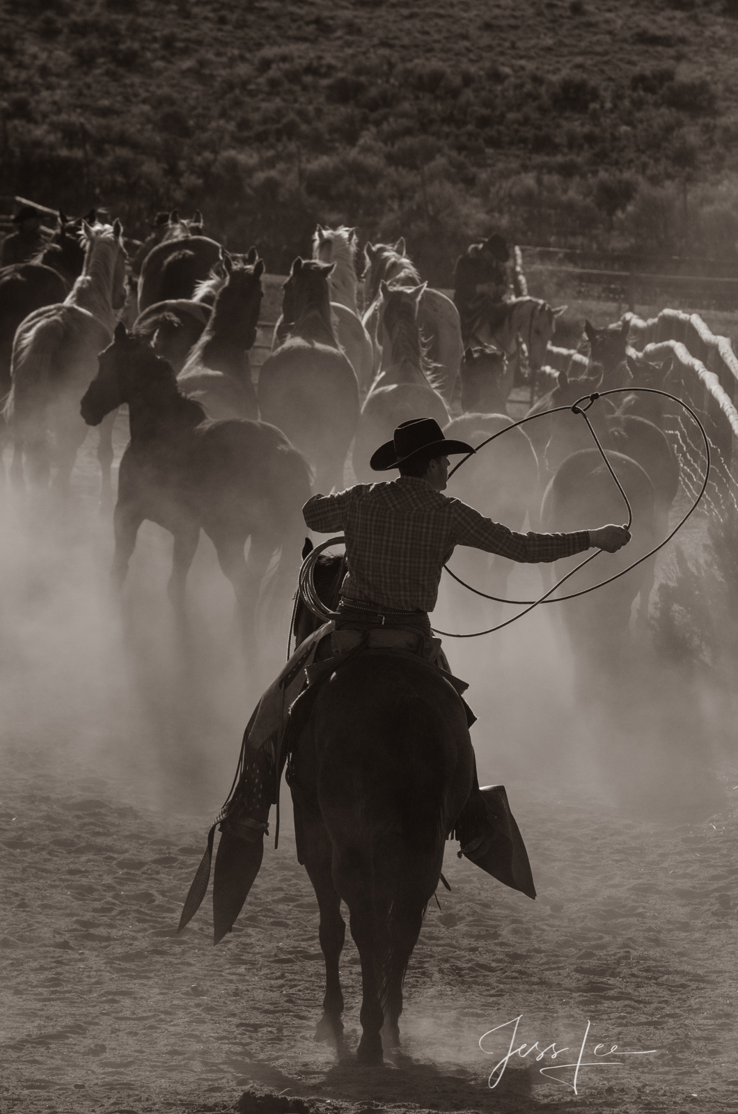 roper, shadow,cowboy,