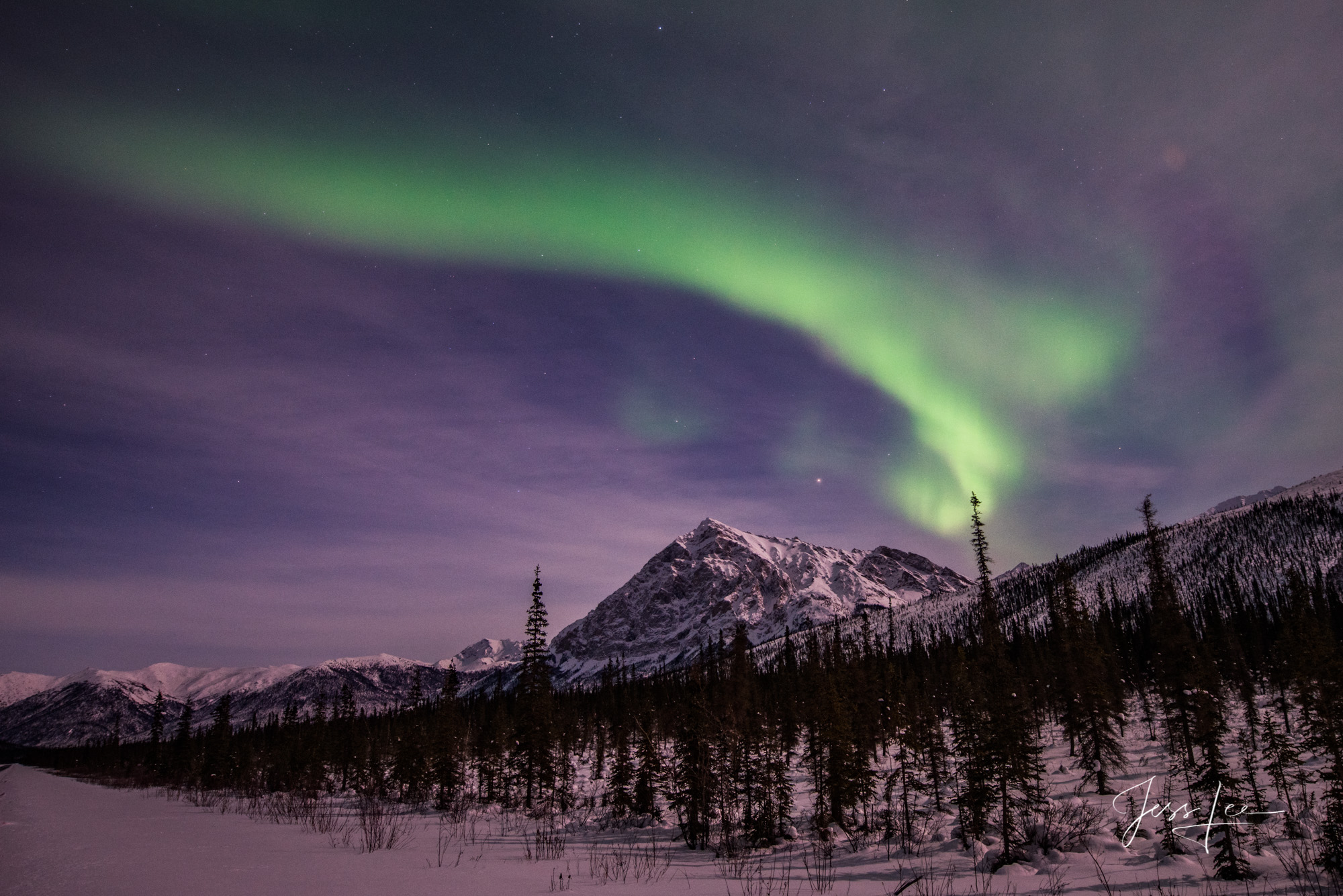 Arctic Curl Aurora Borealis over a snow-covered Alaskan mountain range.