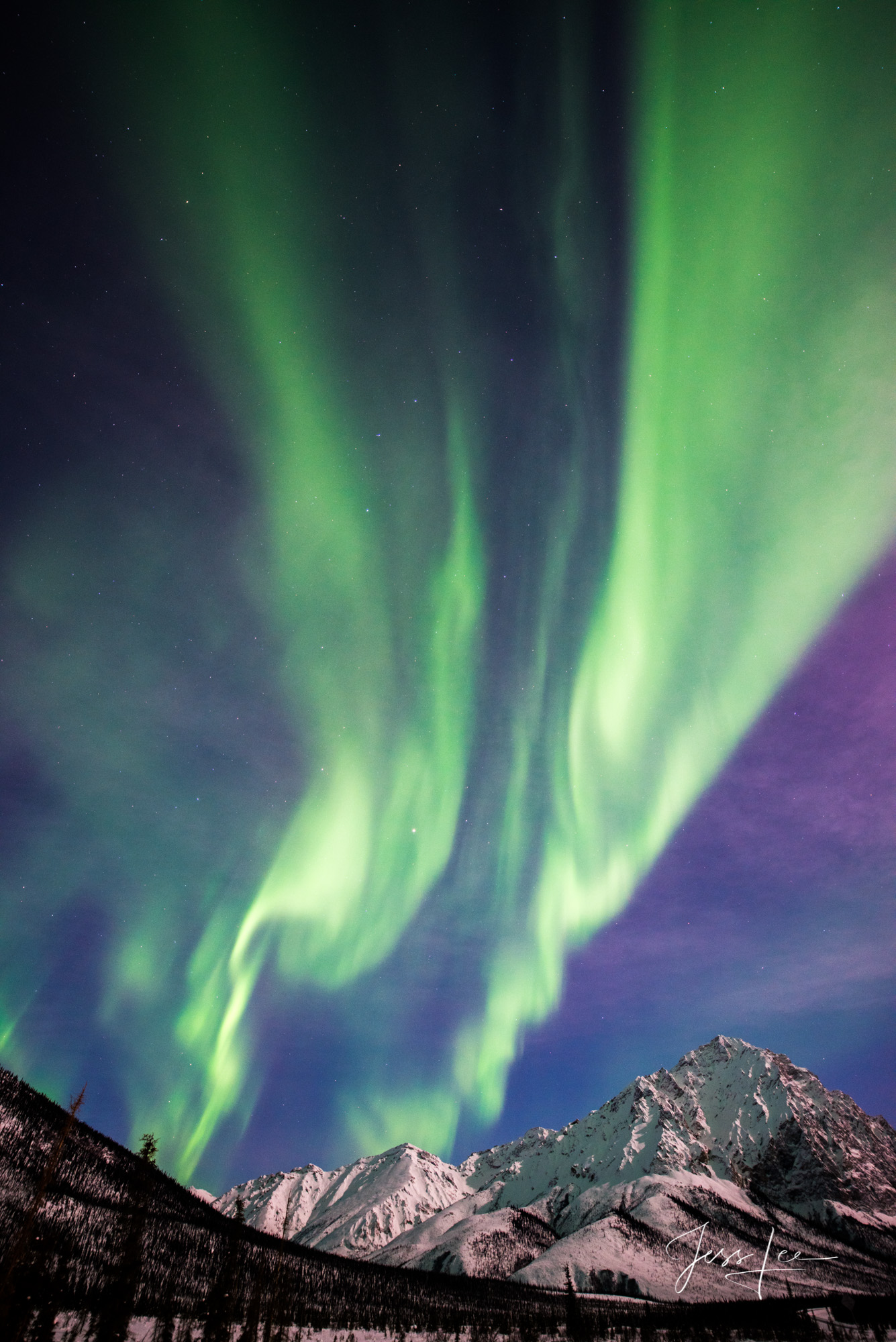 Aurora Borealis dancing over an Alaskan mountain range 