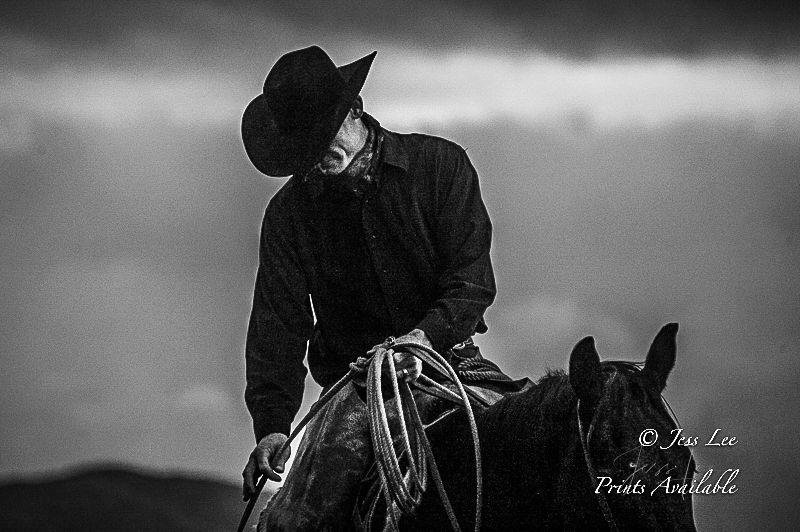 Fine Art Limited Edition Photo Prints of Cowboys, Horses, and life in the West. Get'n it right A Cowboy picture in black and...