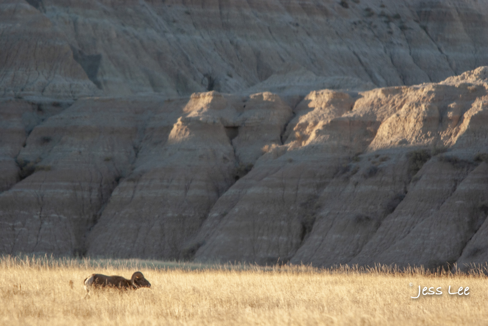 Badlands Photos Fine Art Limited Edition Print for sale. Bring home the beauty of the speculator painted Badlands with Badlands...