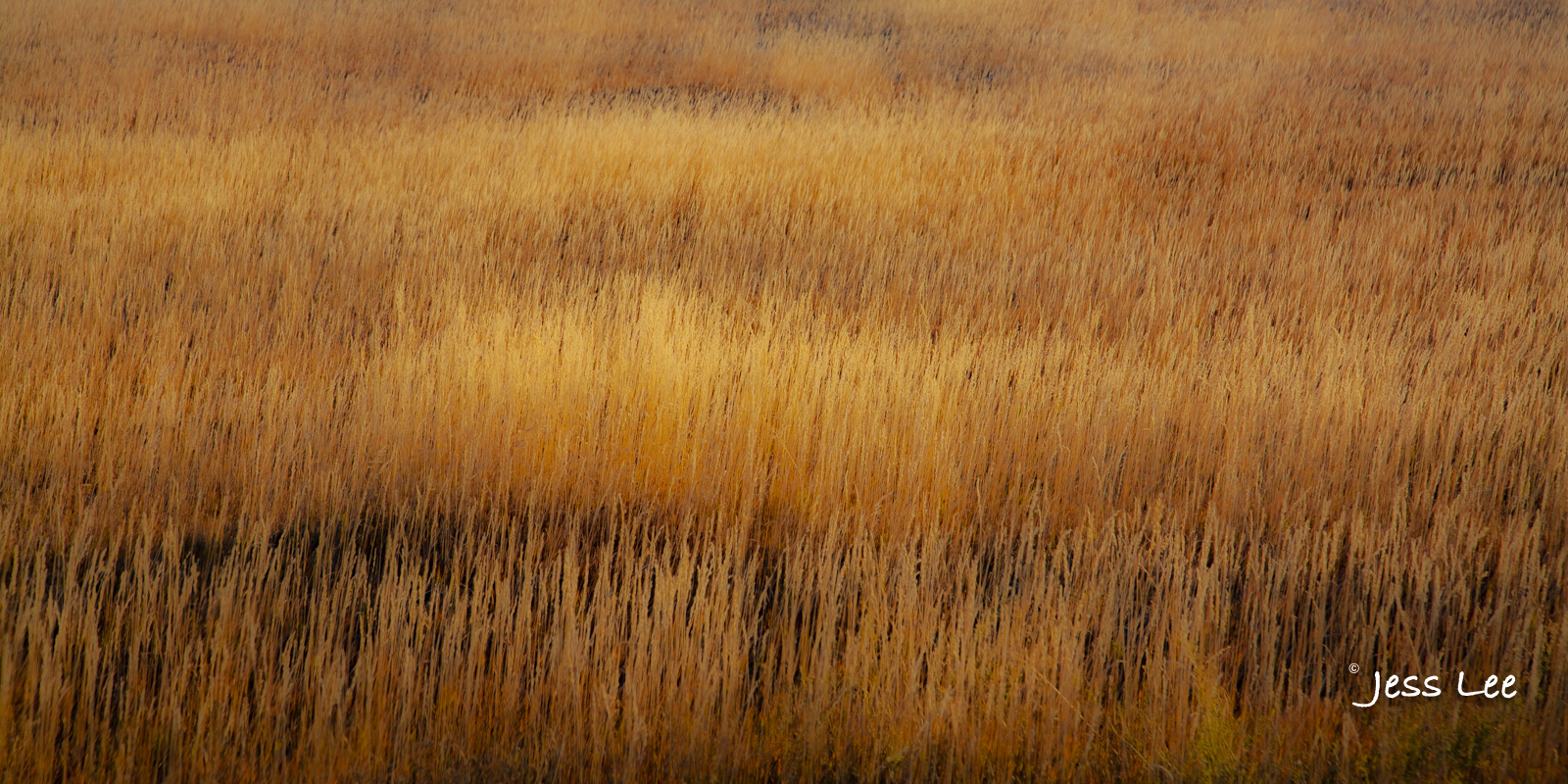 Badlands Photos Fine Art Limited Edition Print for sale. Bring home the beauty of the speculator painted Badlands with Badlands...