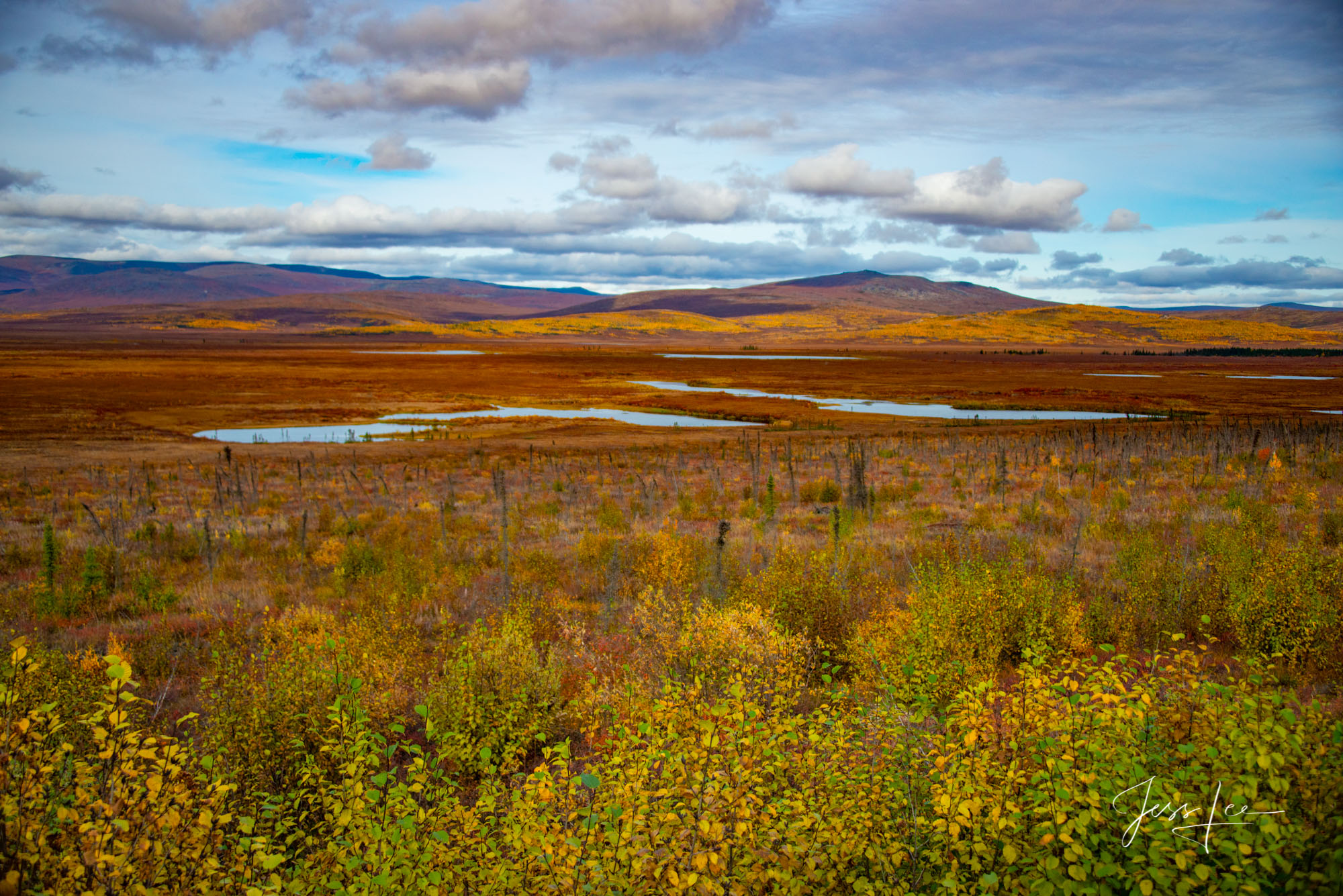 Arctic Beauty Autumn in Alaska's arctic