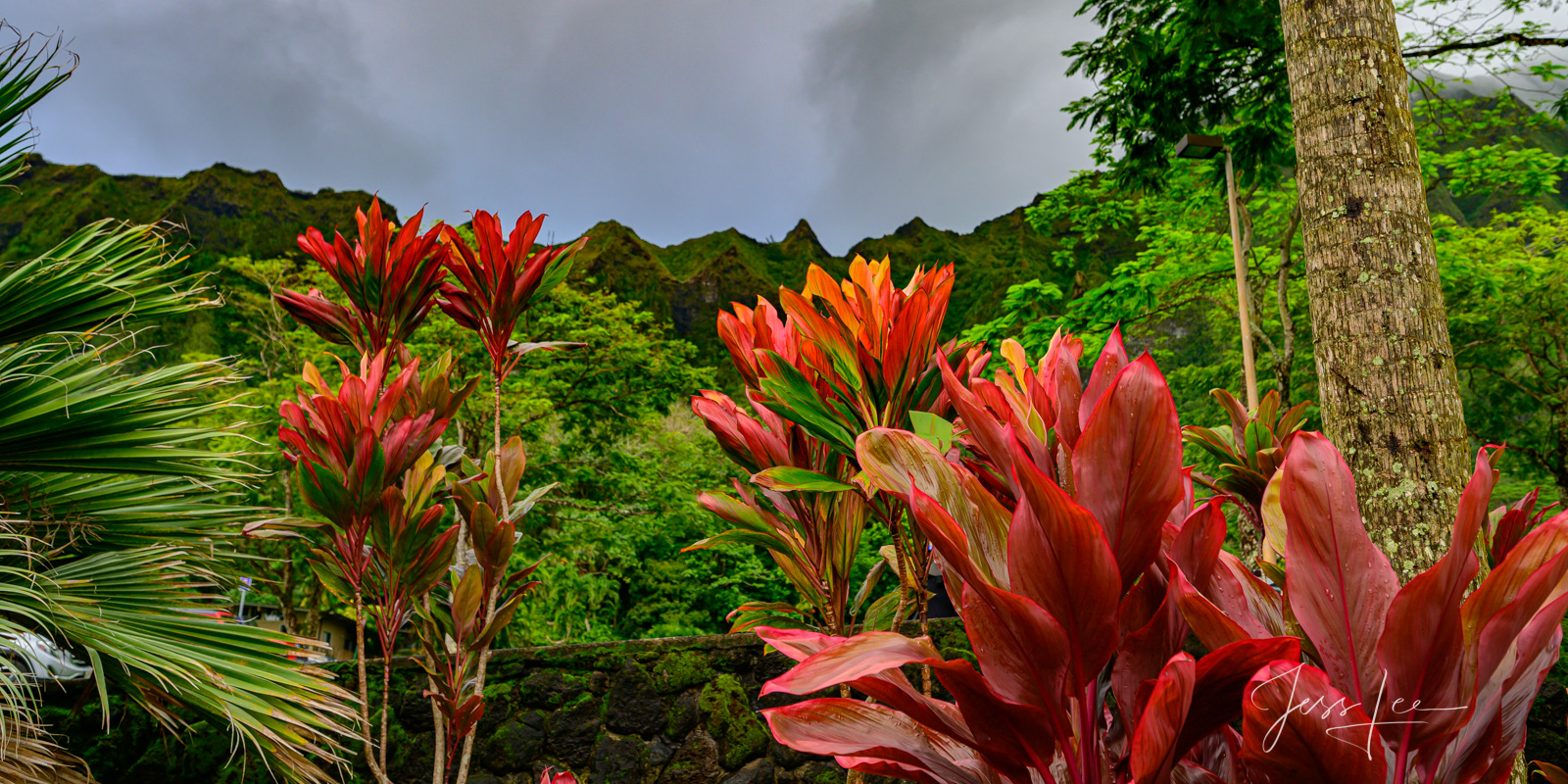 Transform your walls with Big Red,    a beautiful Fine Art Limited Edition Print of the Hawaiian paradise photographed by Jess...