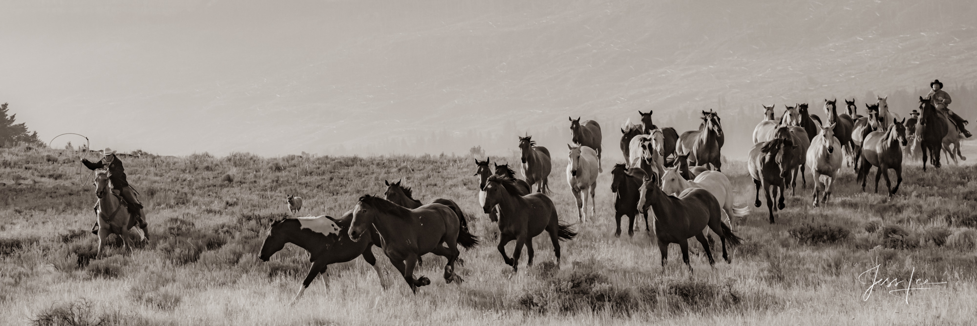 Fine Art Limited Edition Photography of Cowboys, Horses and life in the West. Wyoming horse herd running over the hill on their...