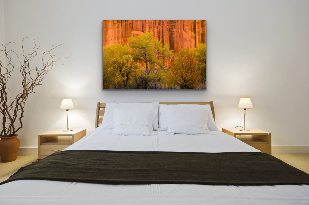Capitol Reef Utah Photography Prints. Pictures available as an Acrylic, Metal, Canvas, or Fine Art Paper limited edition wall art prints.