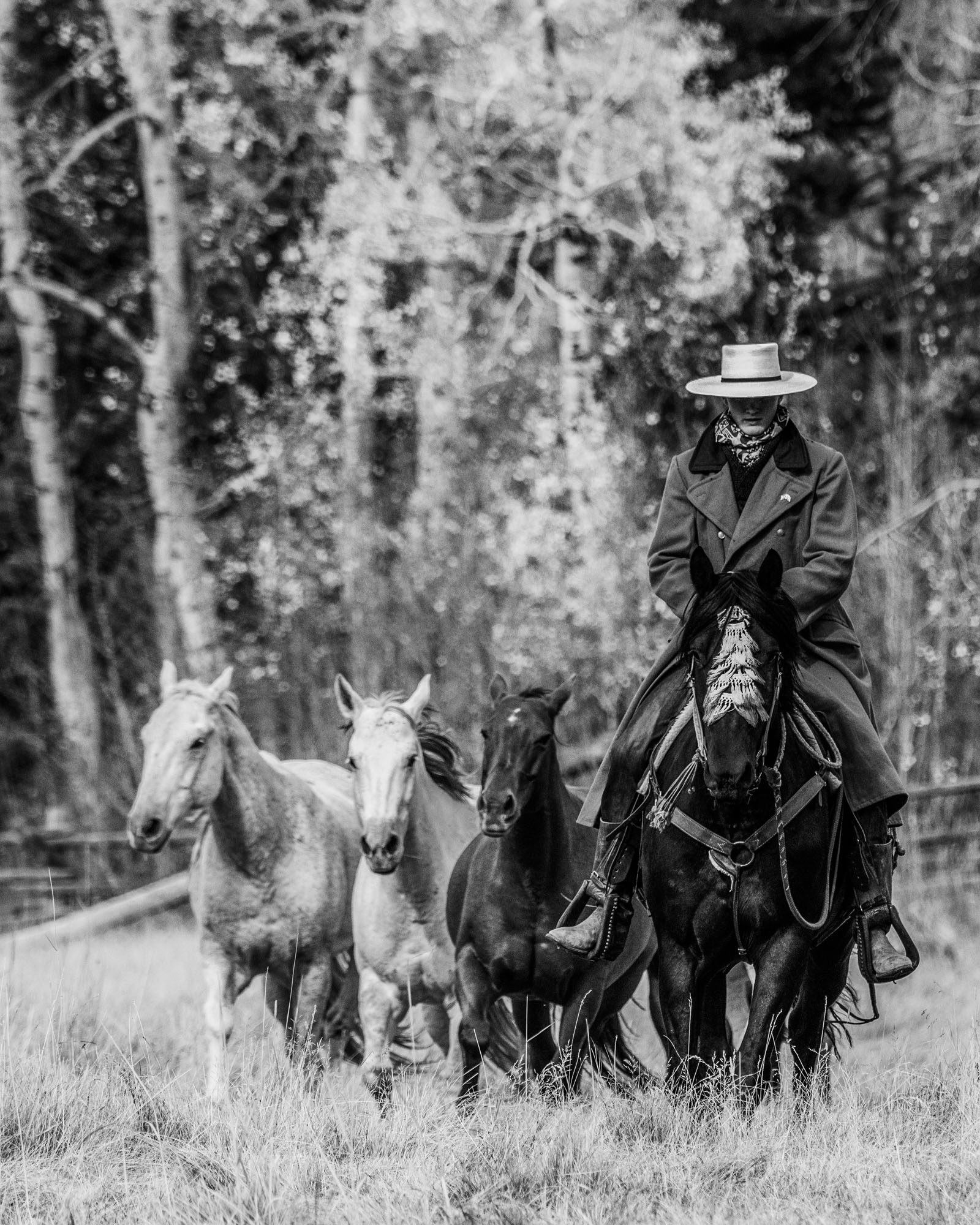 Old Time cowboy on horseback