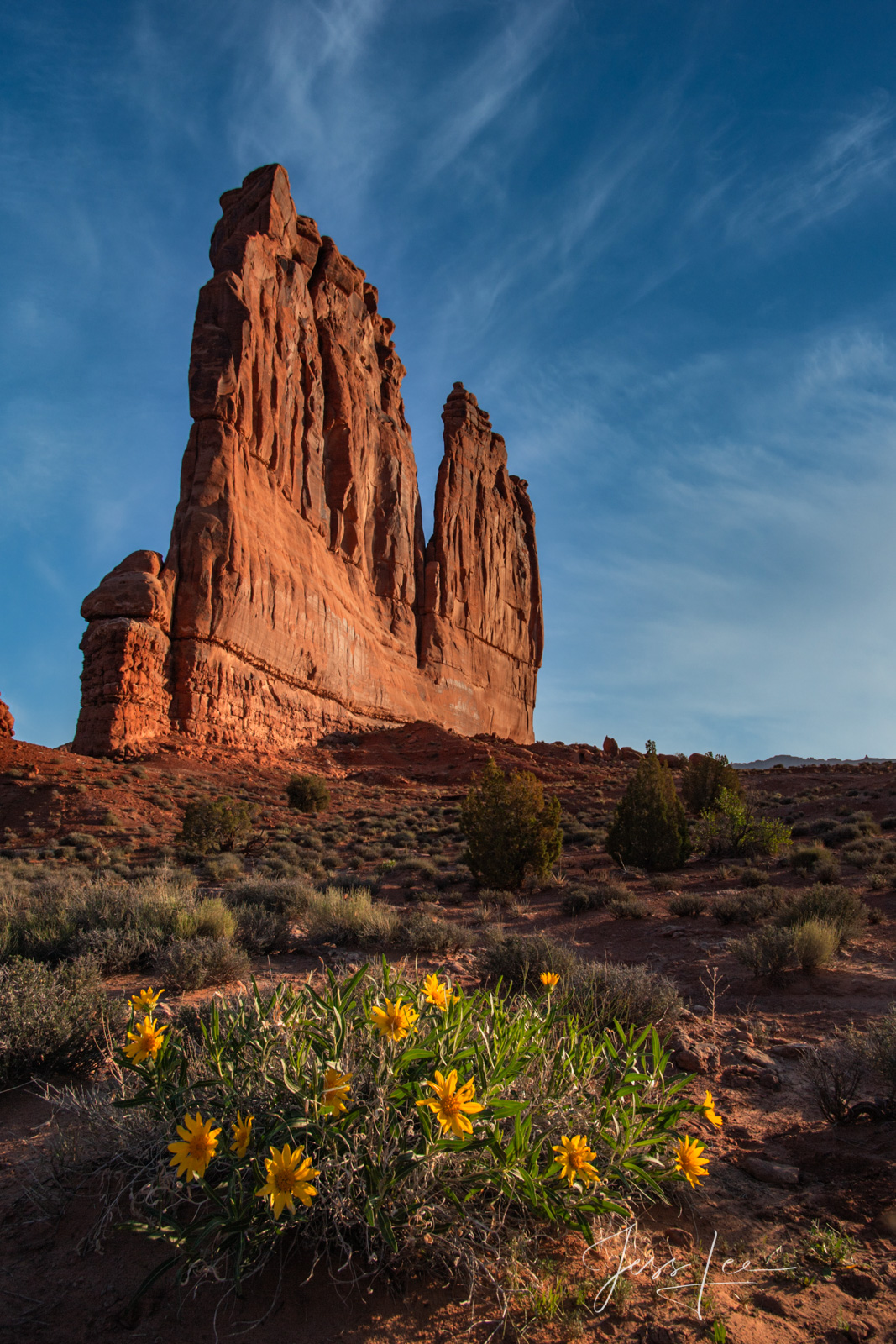 Beautiful Photo Picture from Arches National Park #1