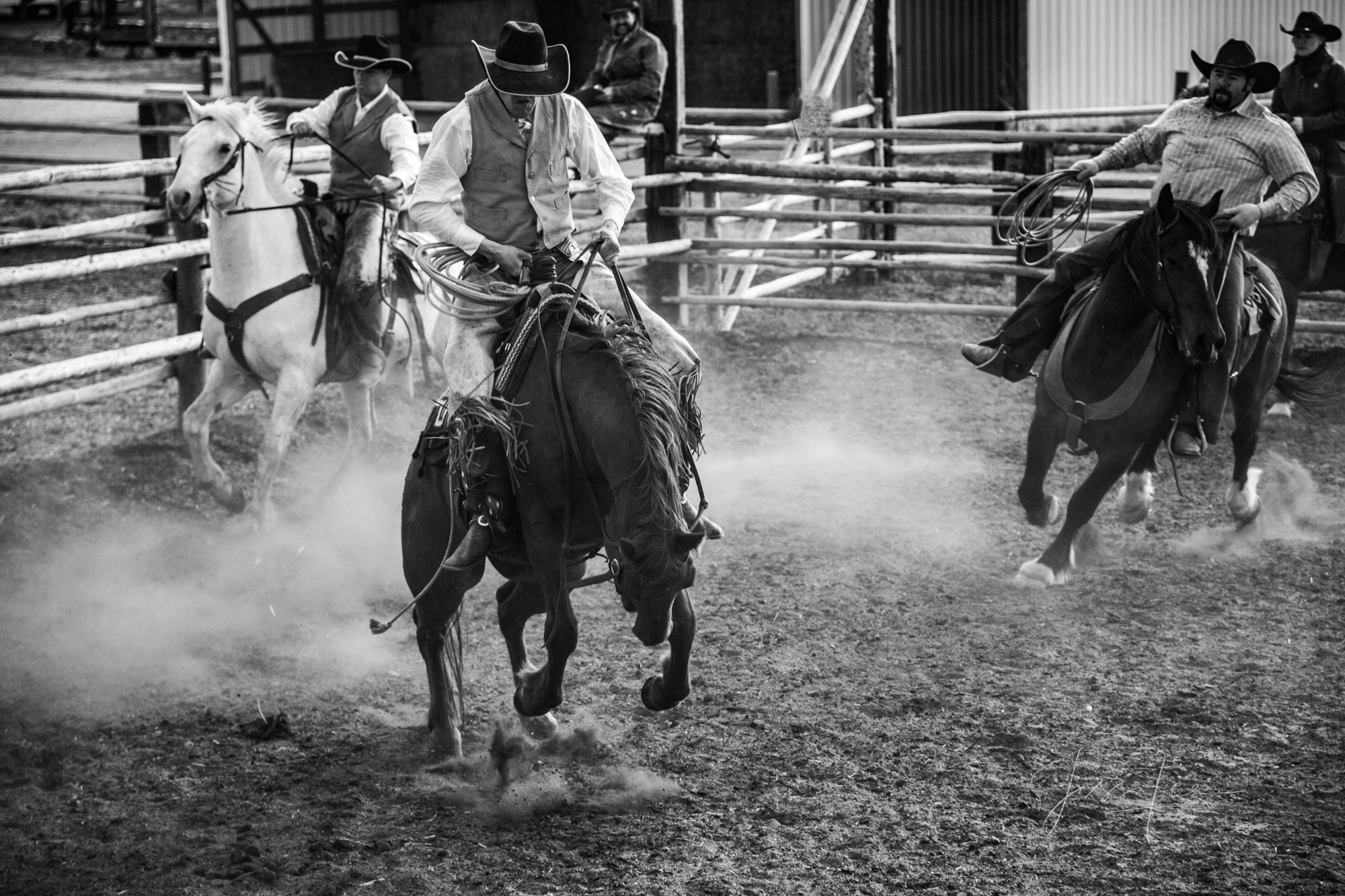 Fine Art Limited Edition Photo Prints of Cowboys, Horses, and life in the West.  Cowboy pictures in black and white. Head up!...