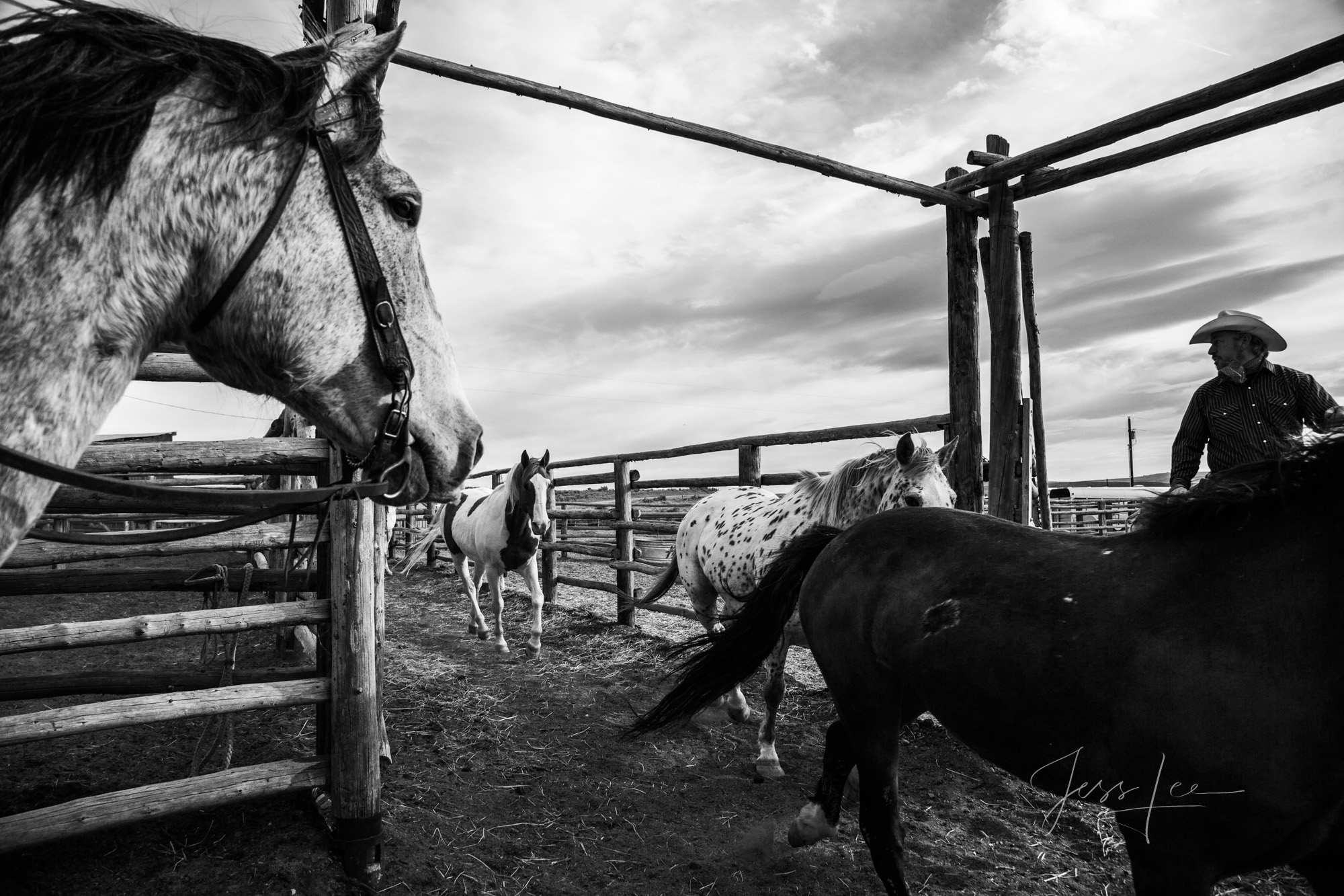 Fine Art Limited Edition Photo Prints of Cowboys, Horses, and life in the West.  Cowboy pictures in black and white. Blocker....