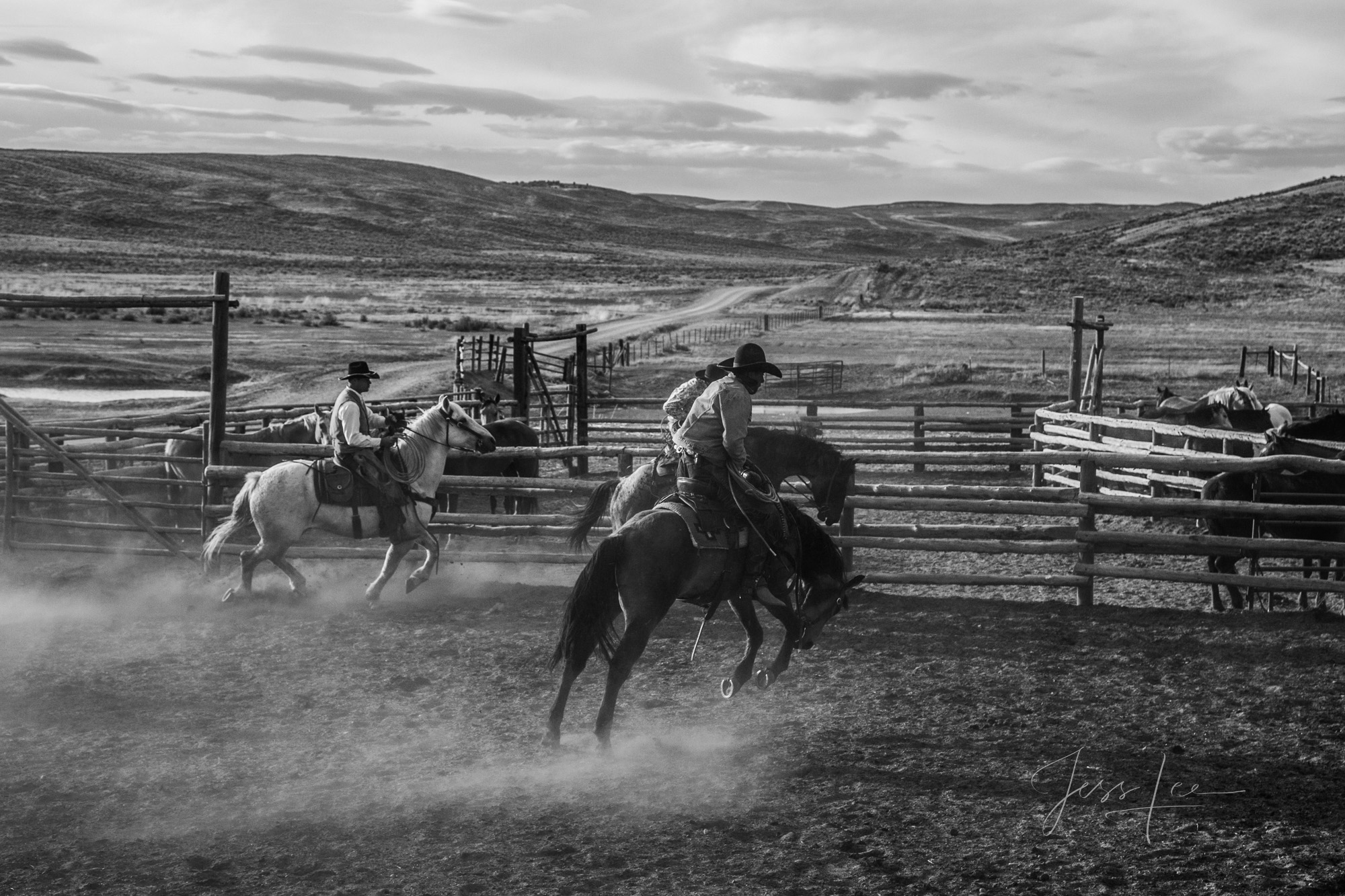 Fine Art Limited Edition Photo Prints of Cowboys, Horses, and life in the West. Work thru it. A Cowboy picture in black and white...