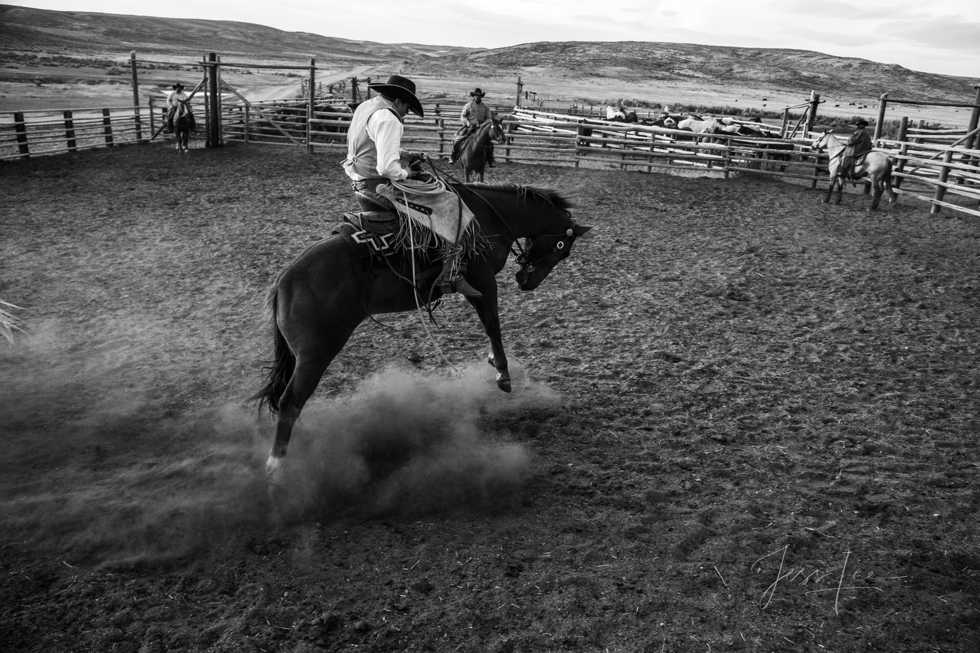 Fine Art Limited Edition Photo Prints of Cowboys, Horses, and life in the West. Get'n er Done. A Cowboy picture in black and...