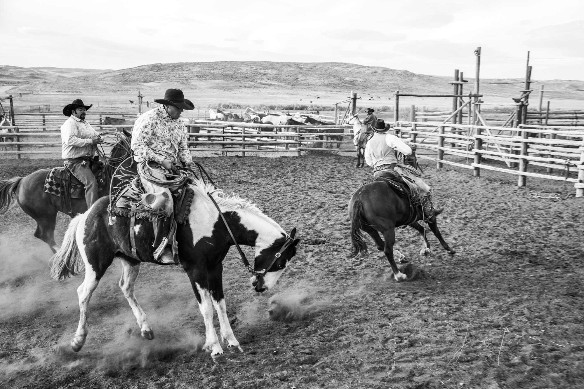 Fine Art Limited Edition Photo Prints of Cowboys, Horses, and life in the West. Ouch! A Cowboy picture in black and white. This...