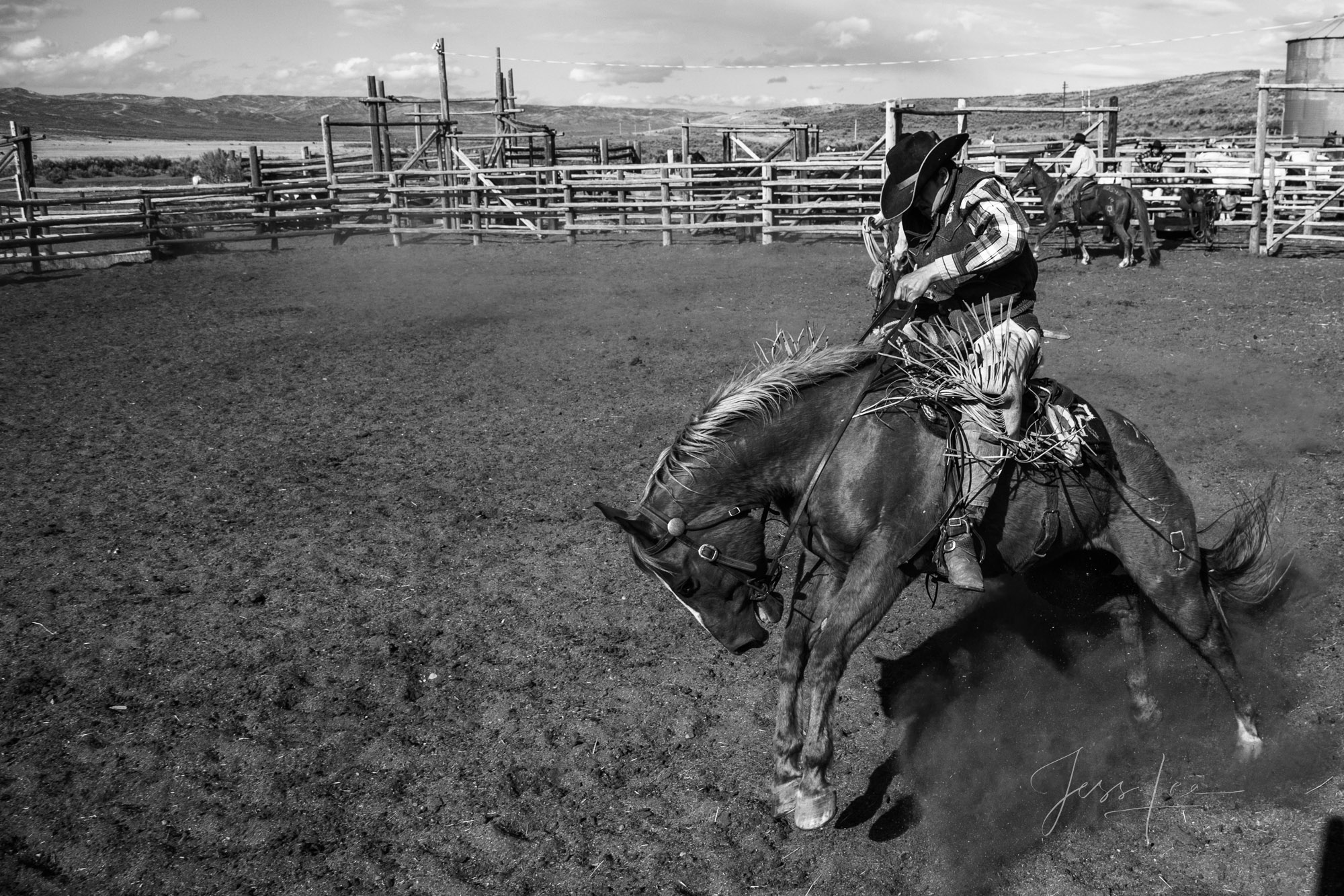 Fine Art Limited Edition Photo Prints of Cowboys, Horses, and life in the West. Hang in there. A Cowboy picture in black and...