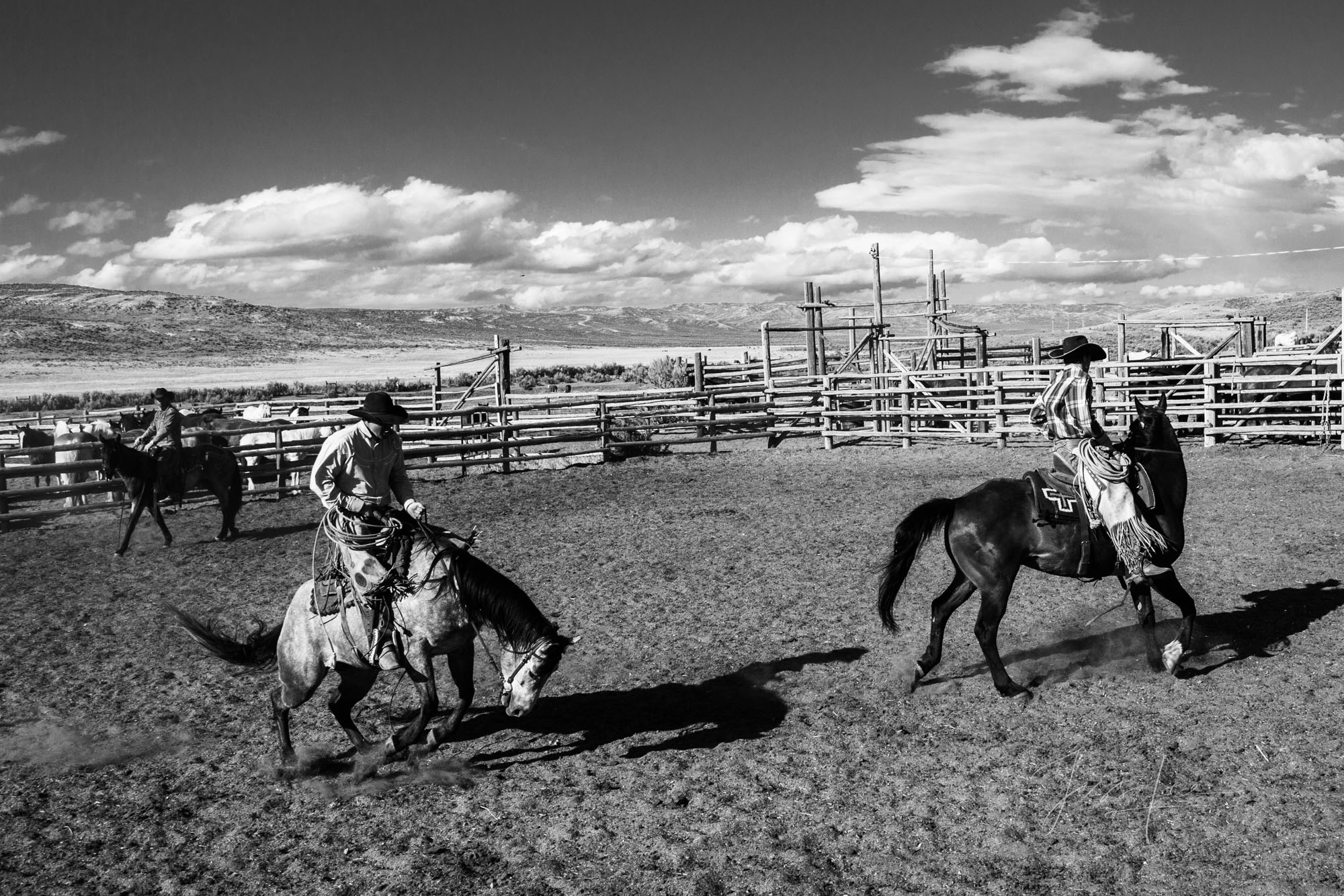 Fine Art Limited Edition Photo Prints of Cowboys, Horses, and life in the West. Crow Hopper. A Cowboy picture in black and white...