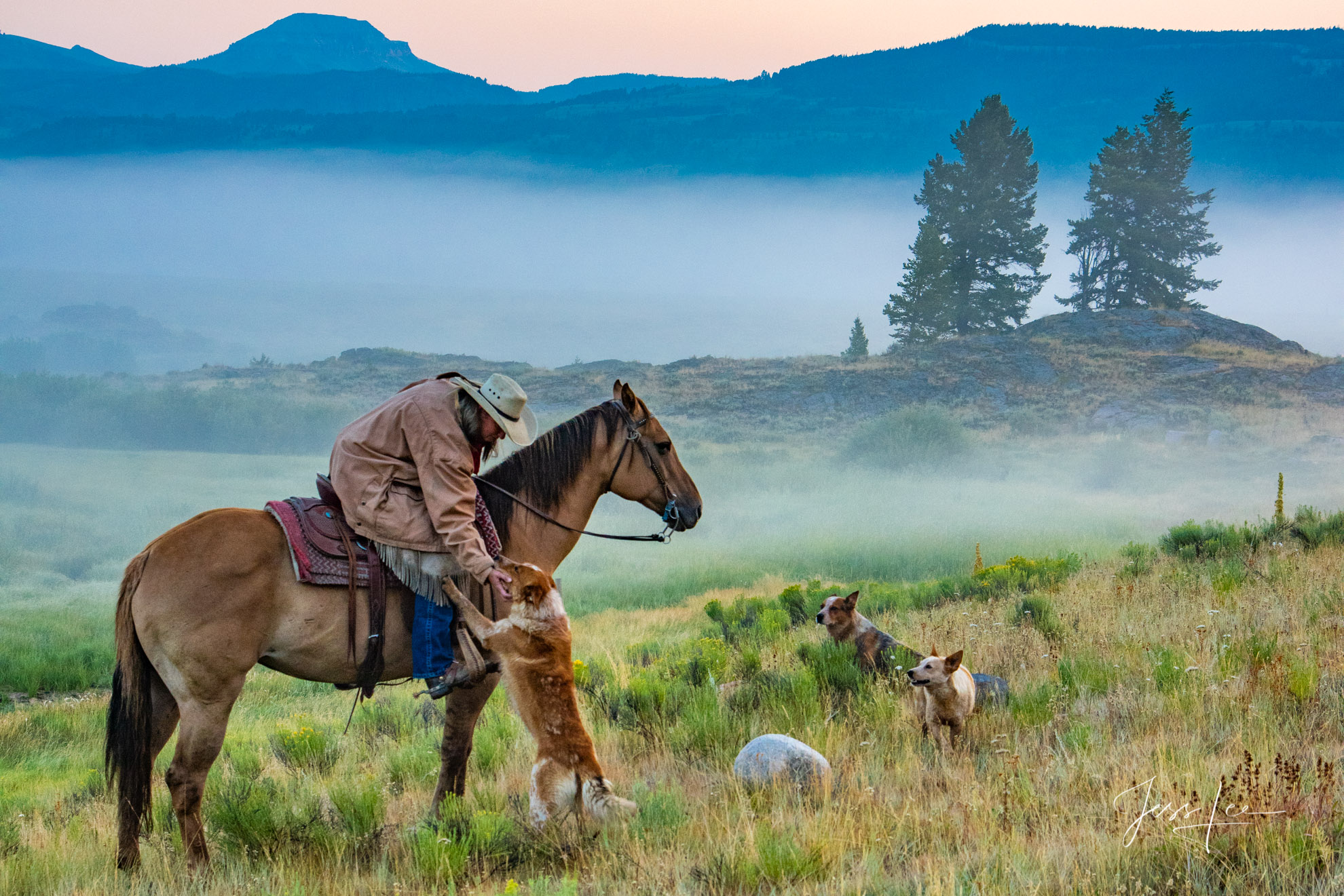Cowgirl and Cowdogs Fine Art Limited Edition Photography of Cowboys, Horses and life in the West. Wyoming cowgirl on horse reaching down to pet one...