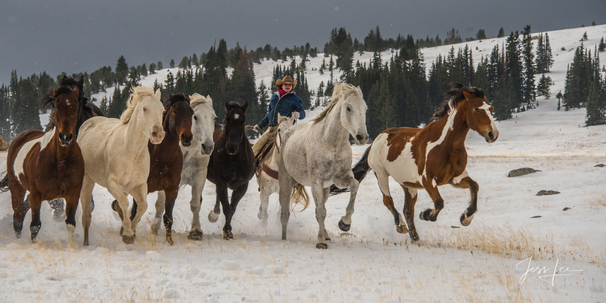 Wyoming Cowgirl chasing horse in the snow Fine Art Limited Edition Photography of Cowboys, Horses and life in the West. Wyoming cowgirl chasing horse on a late fall roundup...