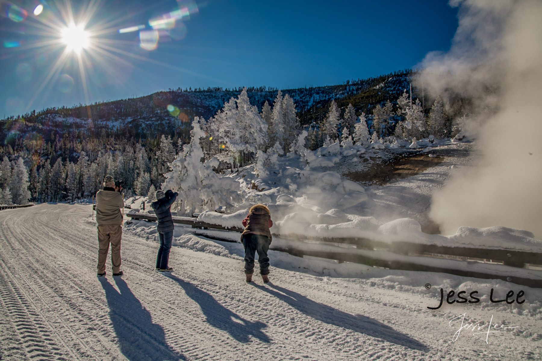Yellowstone Photography, winter tour by Jess Lee