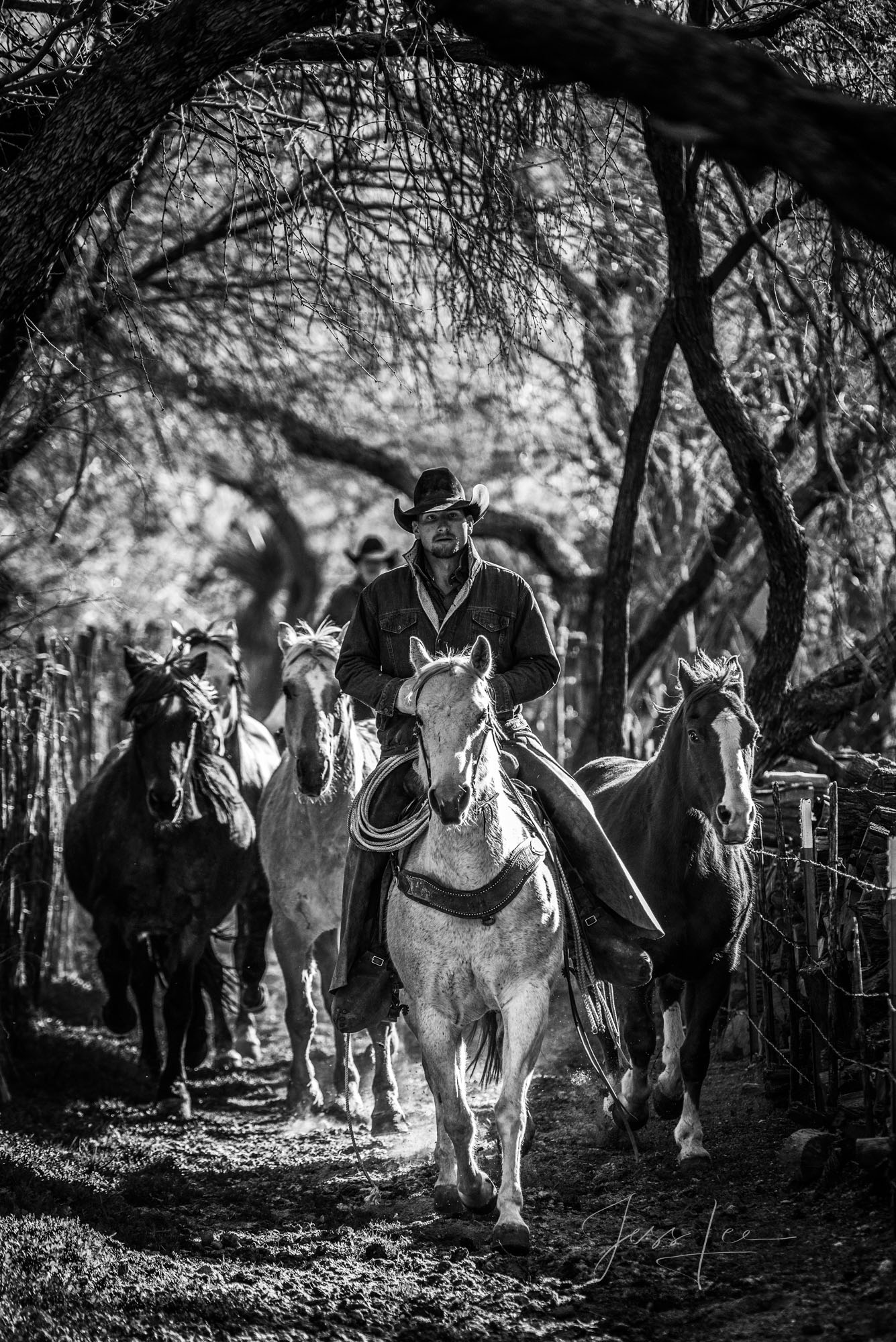Cowboy pictures in black and white.  Down the tunnel. This is part of the luxurious collection of fine art, limited edition...