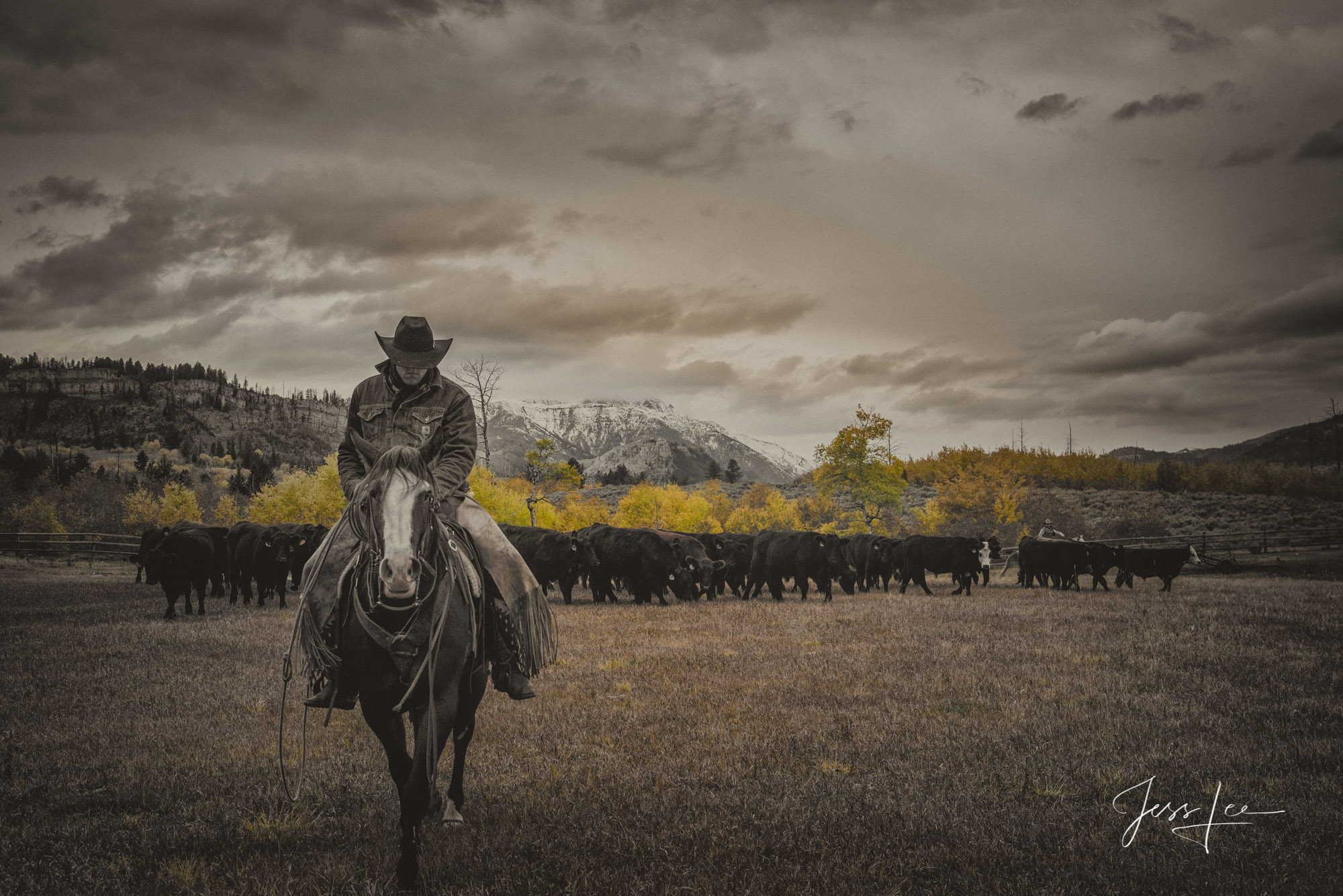 Fine Art Limited Edition Photography of Cowboys, Horses and life in the West. Wyoming cowboy riding in from a long day at the...