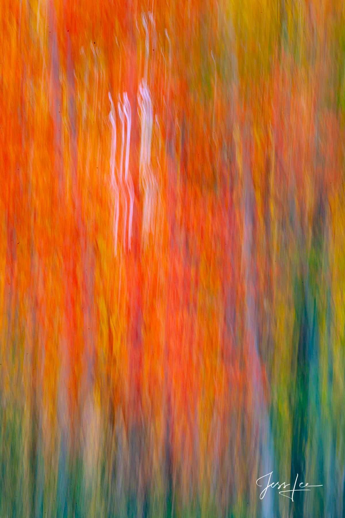 Limited Edition of 50 Exclusive high-resolution Museum Quality Fine Art Prints of abstract Vertical Landscapes. Photos copyright...