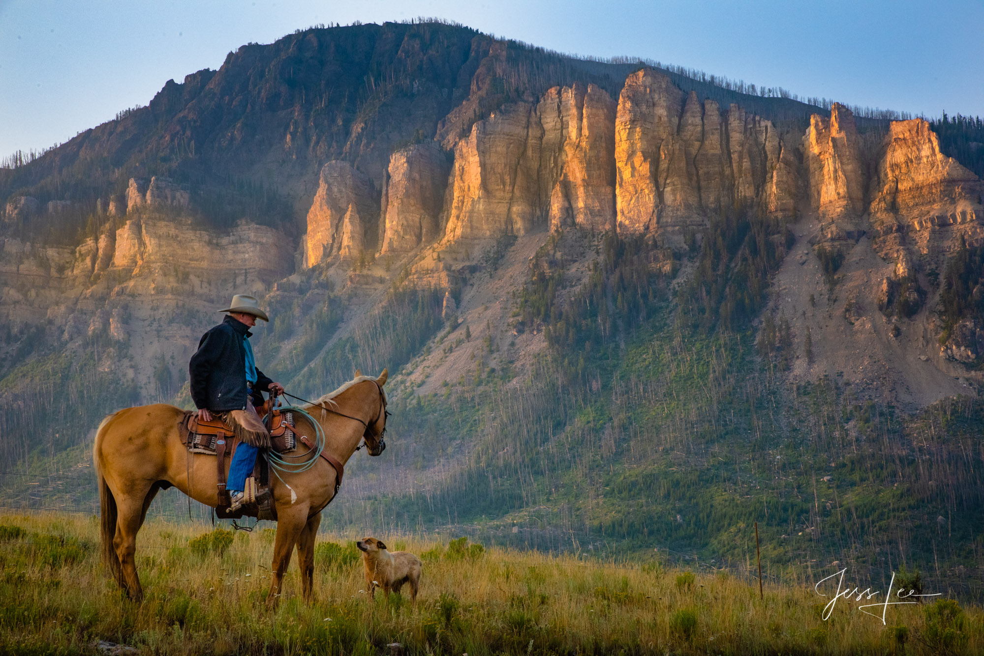 Friends | Cowboy a horse and a dog you can count on.