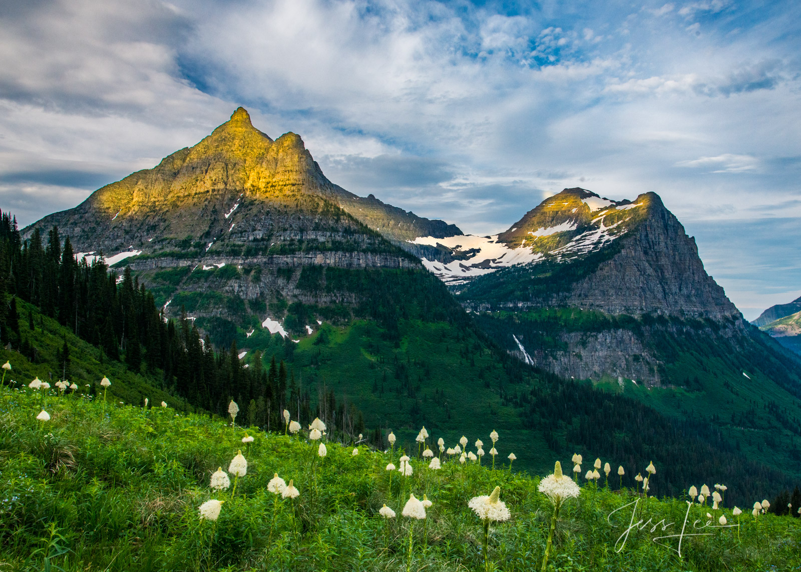 Summer Bear Grass - Picture of Glacier National Park. A fine Art Limited Edition Print of sunset at Glacier. Order yours today...