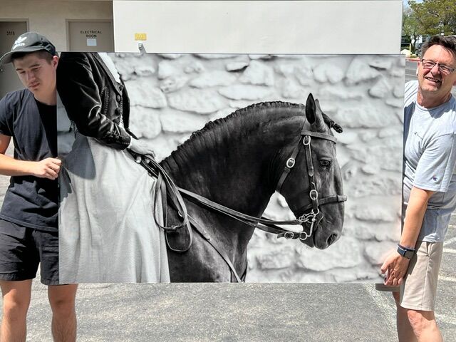 40X60 Equine Acrylic