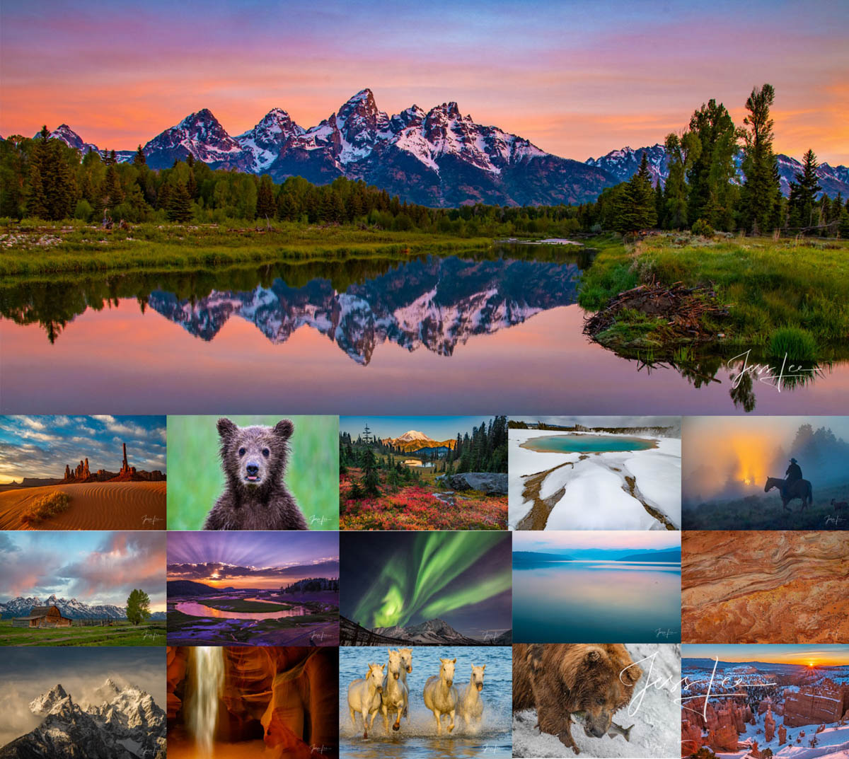 Fine Art Nature and Landscape Photography Prints Jess Lee