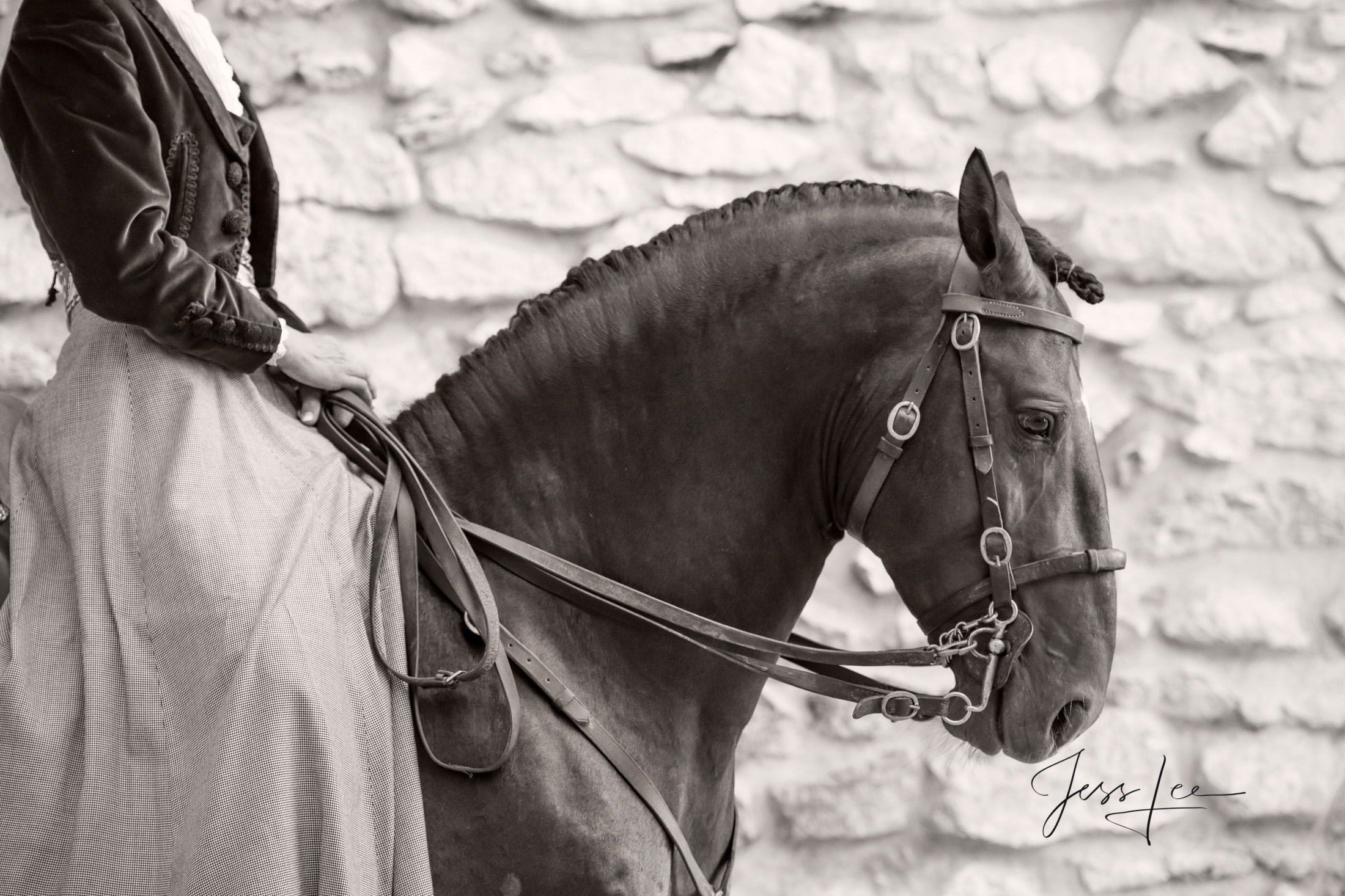 Camargue # 10 Fine Art, Limited Edition, Luxurious photographic prints of the horses of the Camargue and Provence region of France...