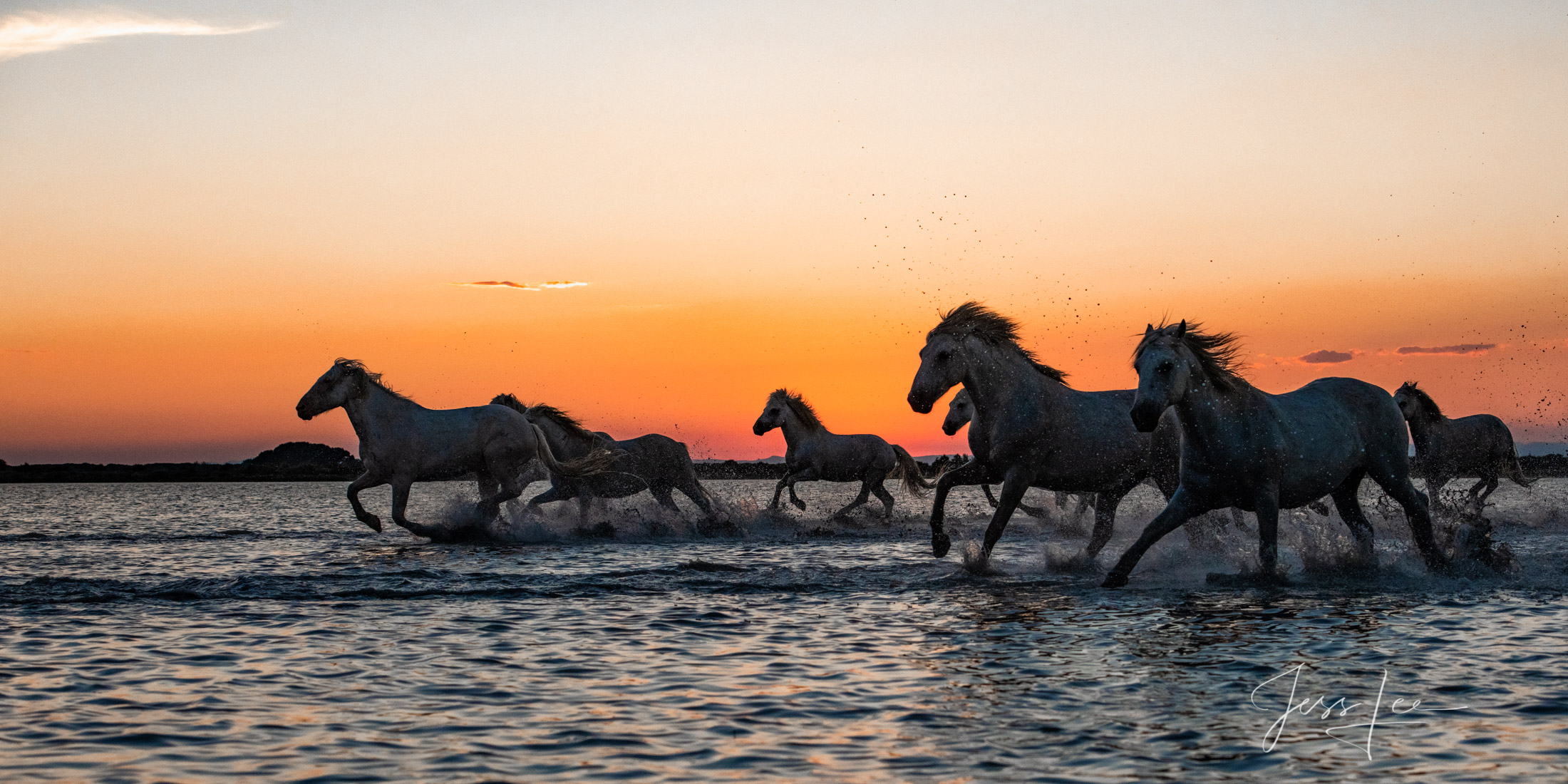 Camargue #11, Fine Art, Limited Edition, Luxurious photographic prints of the horses of the Camargue and Provence region of France...