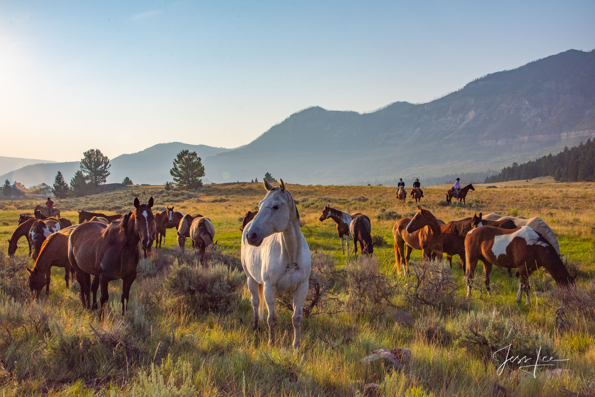 Fine Art Limited Edition Cowboy Photography, Horses and life in the West. Cowboys watch Wyoming horse herd grazing before the...