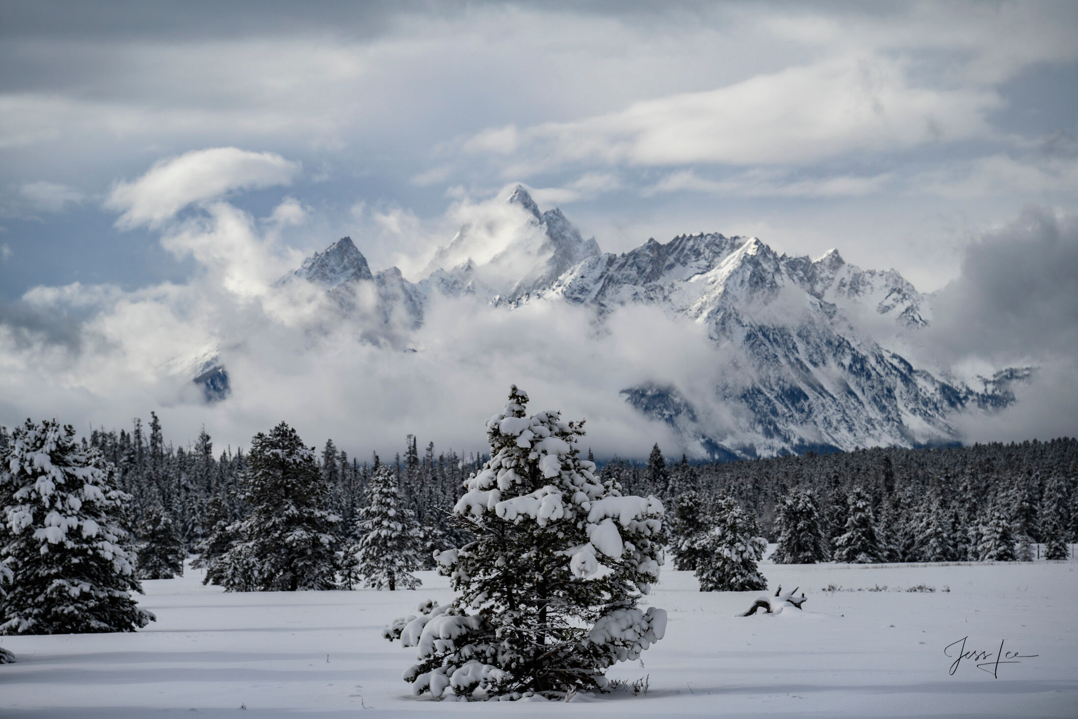 Grand Teton Photo Print 17 A Grand Teton photo fine art print of beautiful Photography and Pictures in large format museum-quality Acrylic or metal wall art