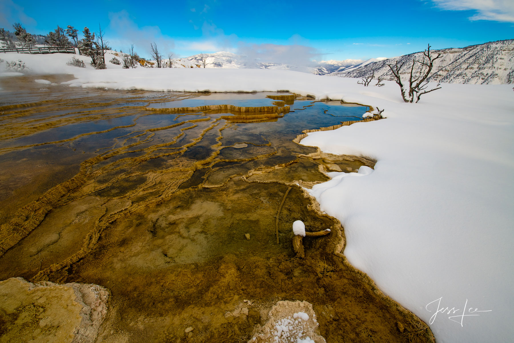 Mammoth Hot Springs Winter Yellowstone Hot Springs Fine Art Photography Print.